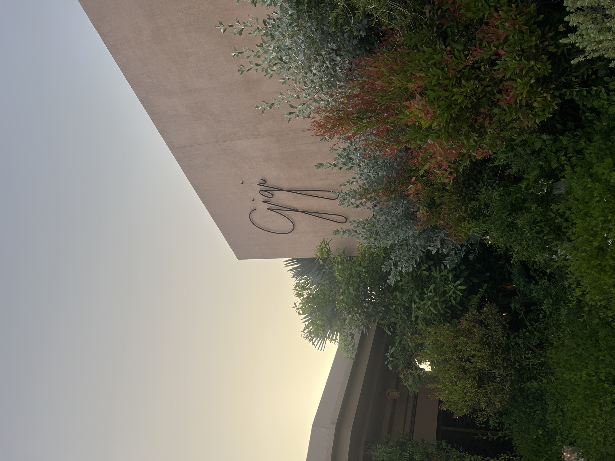The image depicts the exterior of a building, likely located in Dubai, United Arab Emirates, based on the architectural style and plant life. The building has a light brown facade with a black, cursive sign that reads "Cipriani." Lush greenery, including various shrubs and trees, surrounds and partially obscures the sign and the building's edge. The sky is visible in the upper left corner, displaying a gradient of light blue to yellow, suggesting either sunrise or sunset. The overall impression is one of a high-end establishment with a focus on incorporating natural elements into the urban landscape.