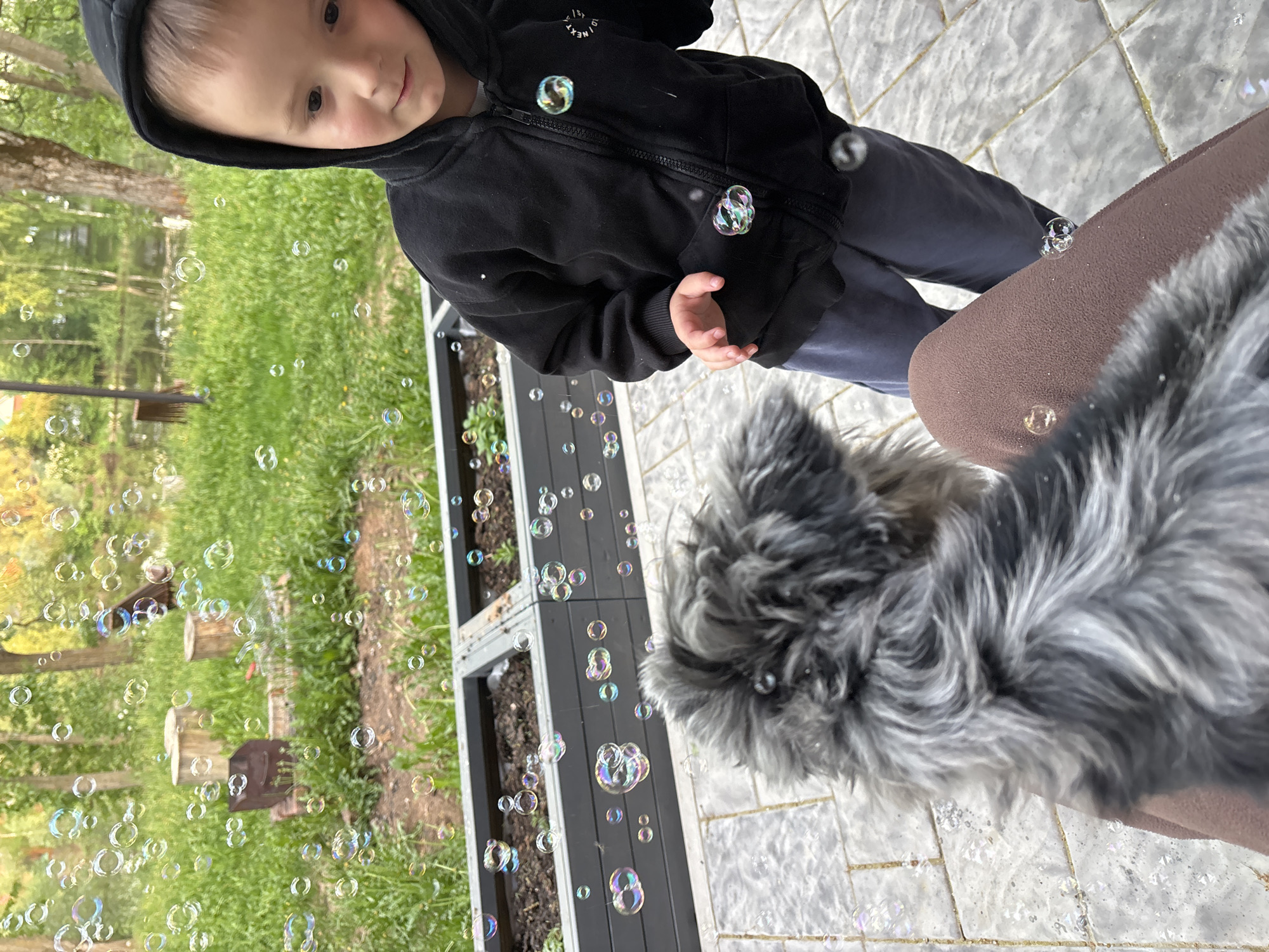 A low-angle, outdoor photograph depicts a young child, bubbles, and a dog. The child, wearing a black hooded sweatshirt and gray pants, is positioned to the left of the frame, glancing downward. Bubbles are scattered throughout the scene, floating in the air and resting on surfaces. In the lower right, a gray, furry dog is partially visible. The background includes a tiled patio, a raised planter box, and green grass. The location is Chaikovsky, Russia.