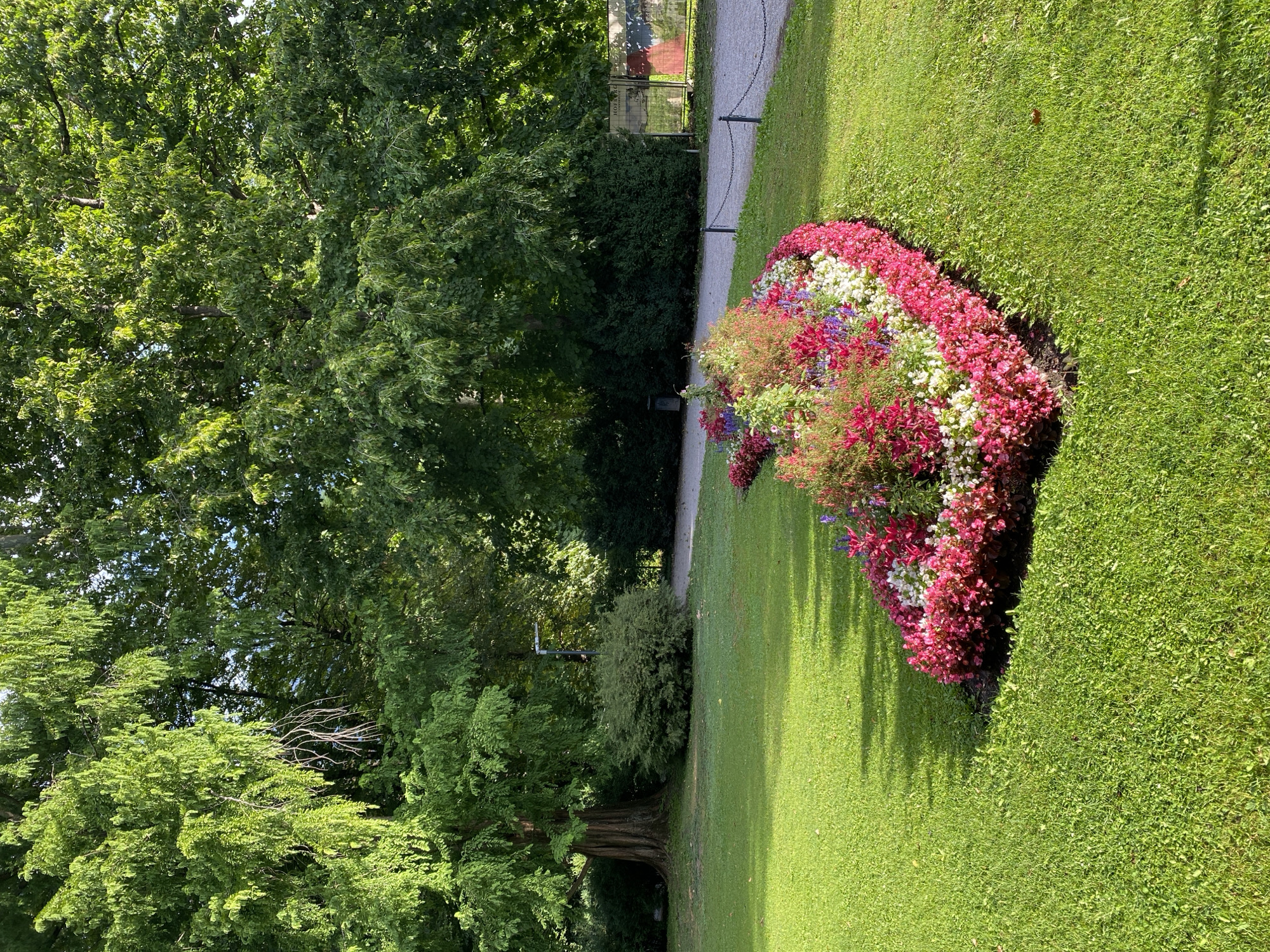 A curved flower bed filled with vibrant pink, white, and purple flowers is prominently featured in the foreground of a well-maintained park. The flower bed is surrounded by a lush green lawn, which is partially shaded by the dense canopy of mature trees in the background. The trees, with their abundant green foliage, create a serene and natural backdrop. A paved pathway runs behind the flower bed, bordered by a low chain fence, suggesting a public park or garden area. The scene appears to be set in the Hofgarten park in Innsbruck, Austria, known for its formal gardens and historical significance. The lighting suggests it is a bright, sunny day. There are no people or animals visible in the image.