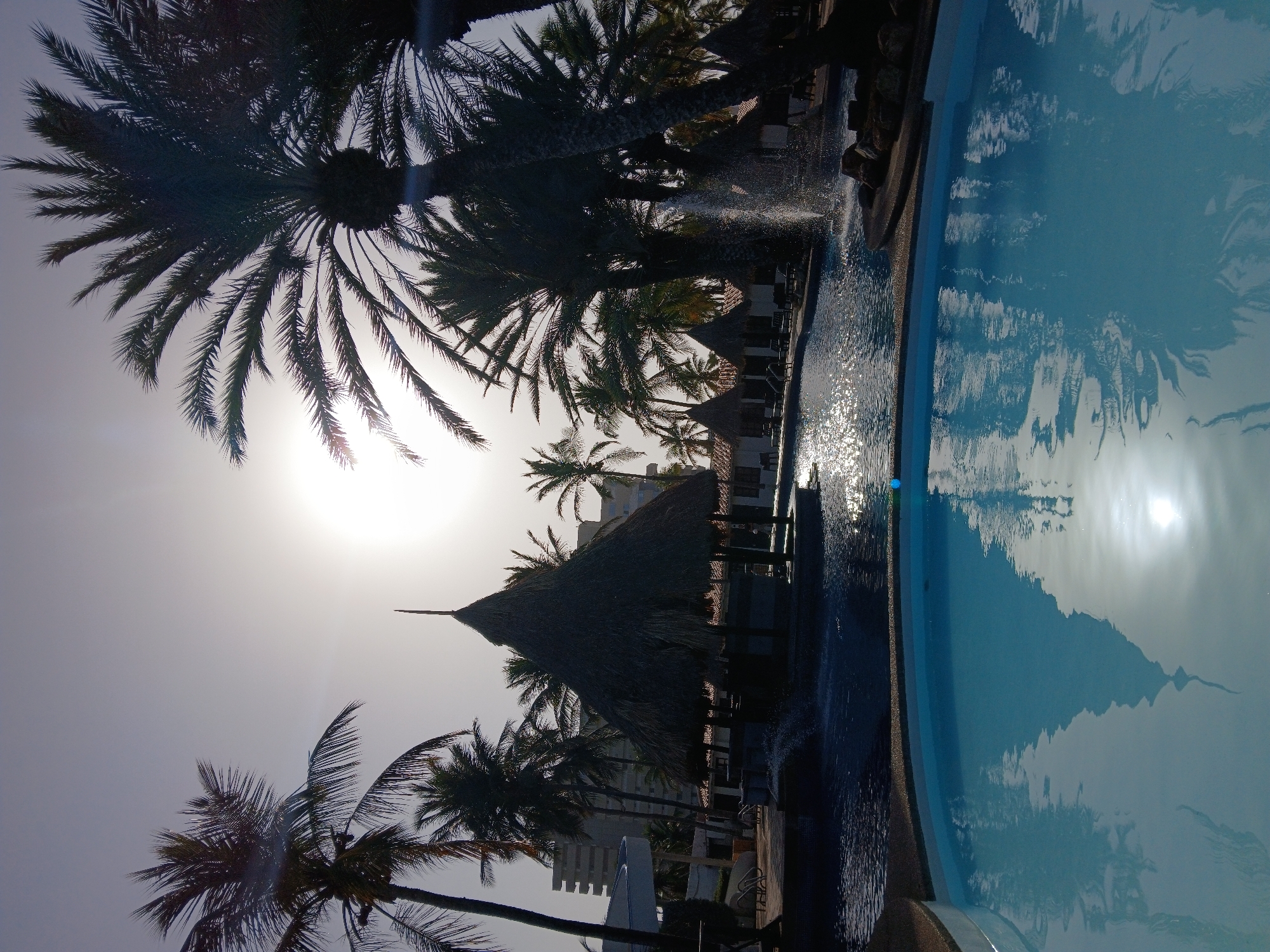 The image depicts a sunlit outdoor scene near a swimming pool in Porlamar, Venezuela. Palm trees dominate the foreground and background, their silhouettes contrasting with the bright sky where the sun is visible. A thatched-roof structure stands near the pool. The pool's water surface reflects the sun and nearby structures, creating distorted images. No people are directly visible in the frame. The environment suggests a tropical resort or vacation setting.