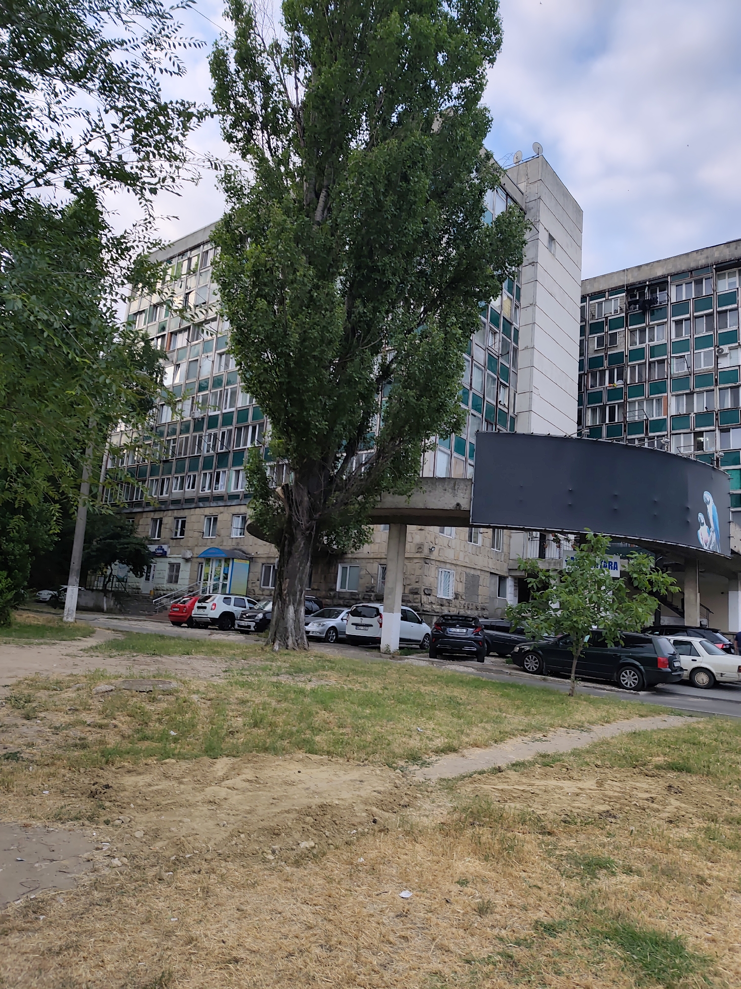 The image depicts a view of an urban area in Chișinău, Moldova, featuring a large, multi-story building with a distinctive facade characterized by rows of green-framed windows. The building appears to be an apartment complex or office building. In the foreground, a tall, mature tree with dense foliage stands prominently, partially obscuring the view of the building. A large, curved, dark billboard is mounted on a concrete structure extending from the building. The ground in the foreground is a mixture of dry grass and dirt, suggesting a public space or park area. Several cars are parked along the roadside in front of the building, indicating a residential or commercial zone. The sky is overcast with some blue patches visible. The overall scene conveys an everyday urban environment.