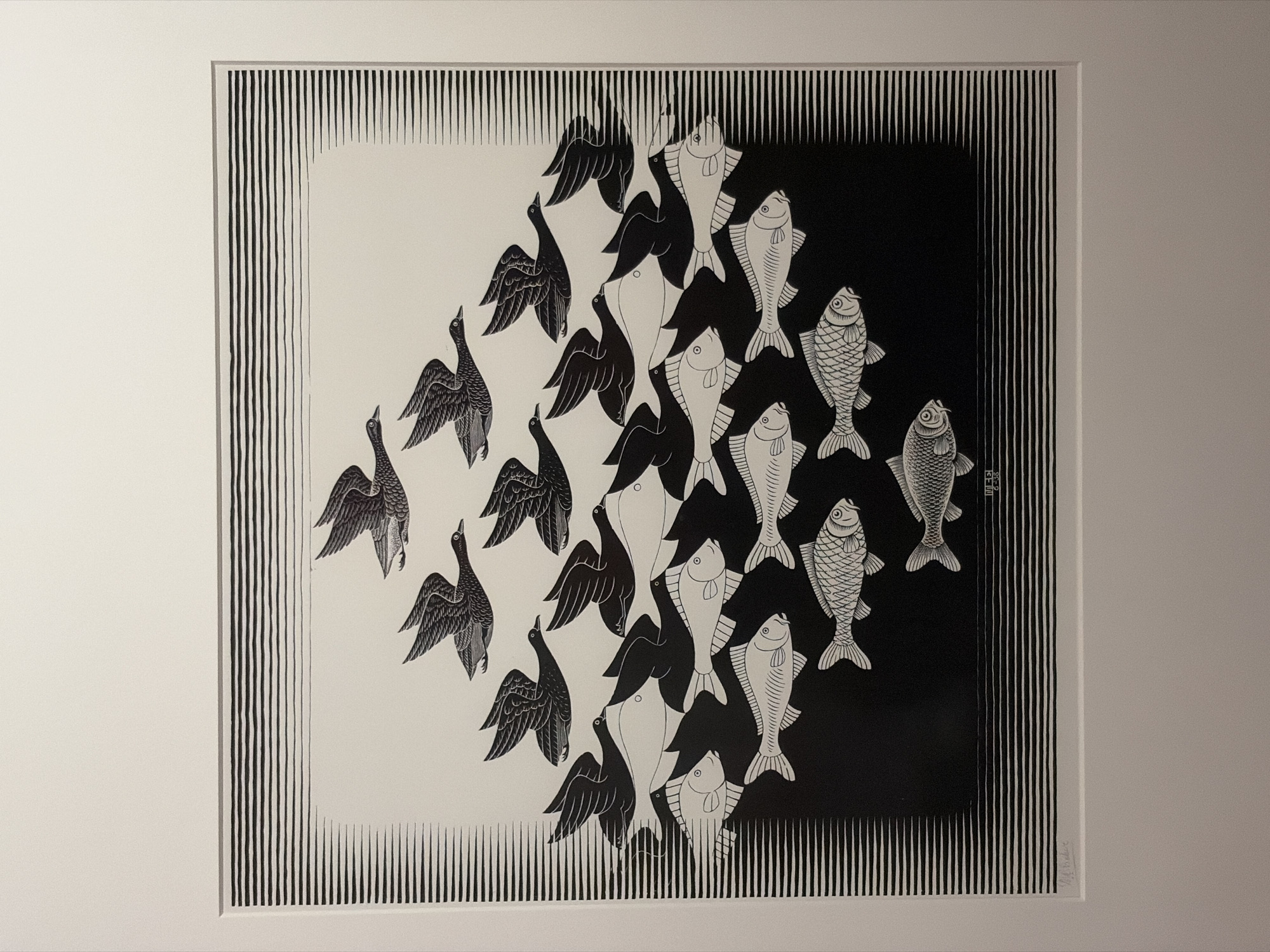 This image is a photograph of an artwork, likely a woodcut or linocut print, by M.C. Escher. The artwork features a tessellation of birds and fish. In the upper portion of the image, a flock of black birds is depicted in flight, arranged in a triangular formation. Their bodies are detailed with feathers, and they are shown in various flying poses.
The lower portion of the artwork is a contrasting tessellation of white fish, also arranged in a formation that mirrors the birds. The fish are depicted swimming, with their scales and fins clearly rendered. The transition between the birds and fish is a sharp, undulating line, creating a visually striking effect.
The artwork is framed by a border of horizontal black and white lines that become progressively denser towards the left and right edges, creating a sense of movement or perspective. At the bottom of the artwork, there are two signatures or inscriptions. One appears to be a stylized initial, and the other reads "G-38".
The photograph shows the artwork mounted within a white mat and a white frame. The photograph is taken from a slight angle, with the artwork occupying the central and upper portions of the frame. The background outside the frame appears to be a neutral wall.
The question asks for the location in the city of The Hague, Netherlands. However, the provided image and crops do not contain any information that would allow for the identification of a specific location within The Hague. Therefore, this information cannot be provided based solely on the image.