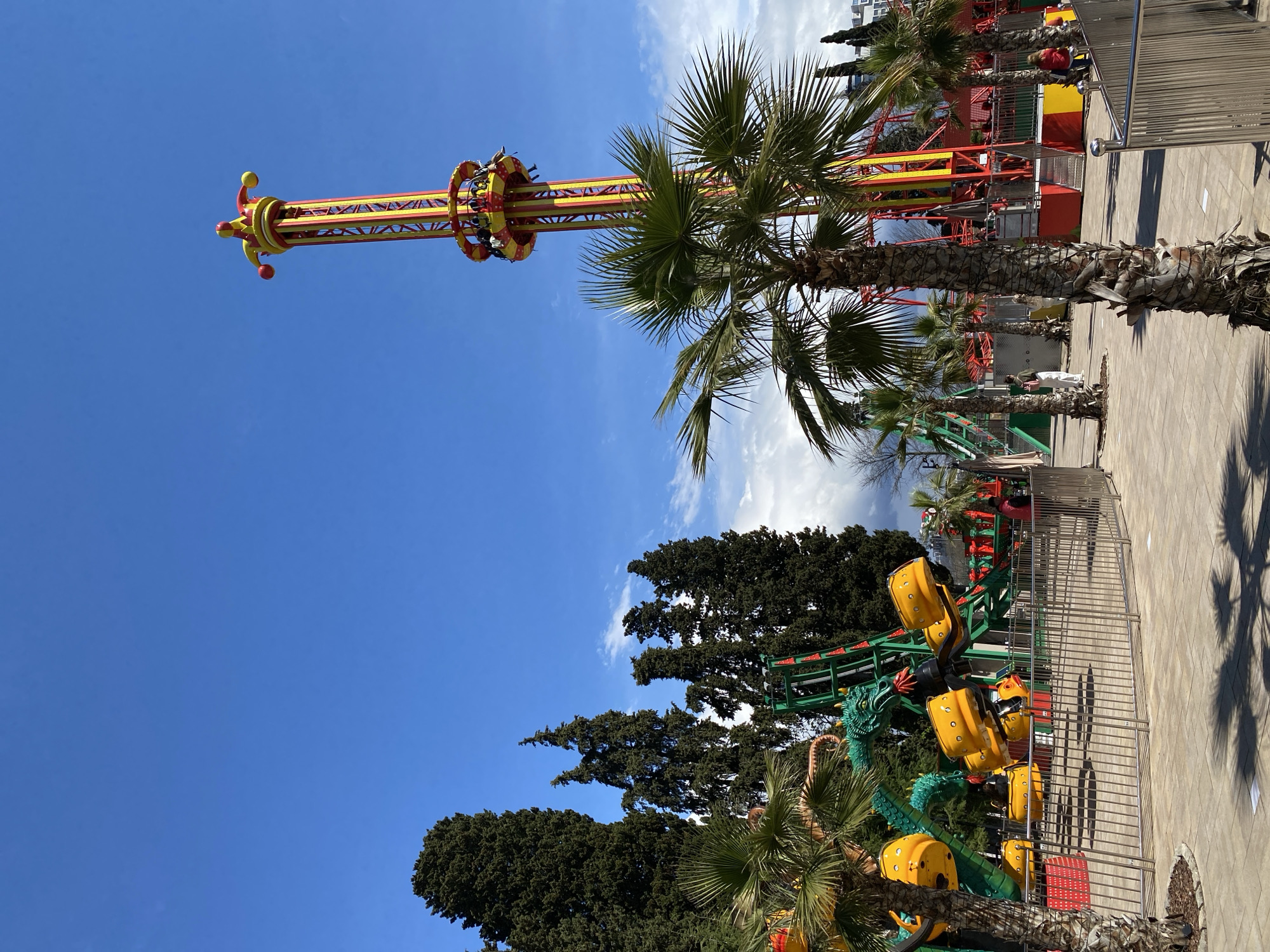The image shows a section of an amusement park in Sochi, Russia. A tall, yellow and red vertical swing ride dominates the upper portion, with people visible riding in the circular seating area at the top. Palm trees are interspersed throughout the park, partially obscuring a portion of the ride. A green and yellow dragon-themed roller coaster is visible in the foreground, with several spinning yellow cars attached. A metal safety fence runs alongside the coaster. Trees and clear blue sky with some cloud coverage are visible in the background.