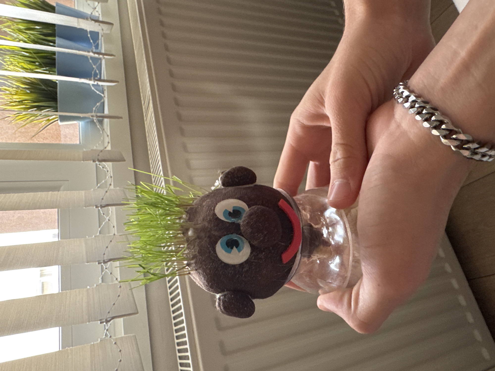 A close-up, vertically oriented shot captures a person's hands holding a novelty "grass head" planter indoors in Busmantsi, Bulgaria. The central focus is the cheerful grass head, which features a brown, fabric-covered sphere as its base, adorned with large, blue-centered googly eyes and a wide, red smiling mouth. Vibrant green grass-like sprouts emerge from the top of the head, giving the appearance of lively hair. The head is held within a clear, rounded plastic container by the person's hands.
The hands, with light skin tones, gently support the planter. A notable detail is a thick, silver-colored Cuban link chain bracelet worn on the left wrist (from the viewer's perspective).
The background suggests a bright, indoor setting during the daytime. A window is visible on the left, partially obscured by light-colored horizontal Venetian blinds, which allow natural light to filter in. Behind the blinds, hints of a leafy green plant, possibly artificial, can be seen. To the right of the image, part of a white or light-colored radiator or heating unit is visible along a wall. The overall atmosphere conveyed by the smiling grass head is one of playfulness and lightheartedness. There is no visible text in the image.