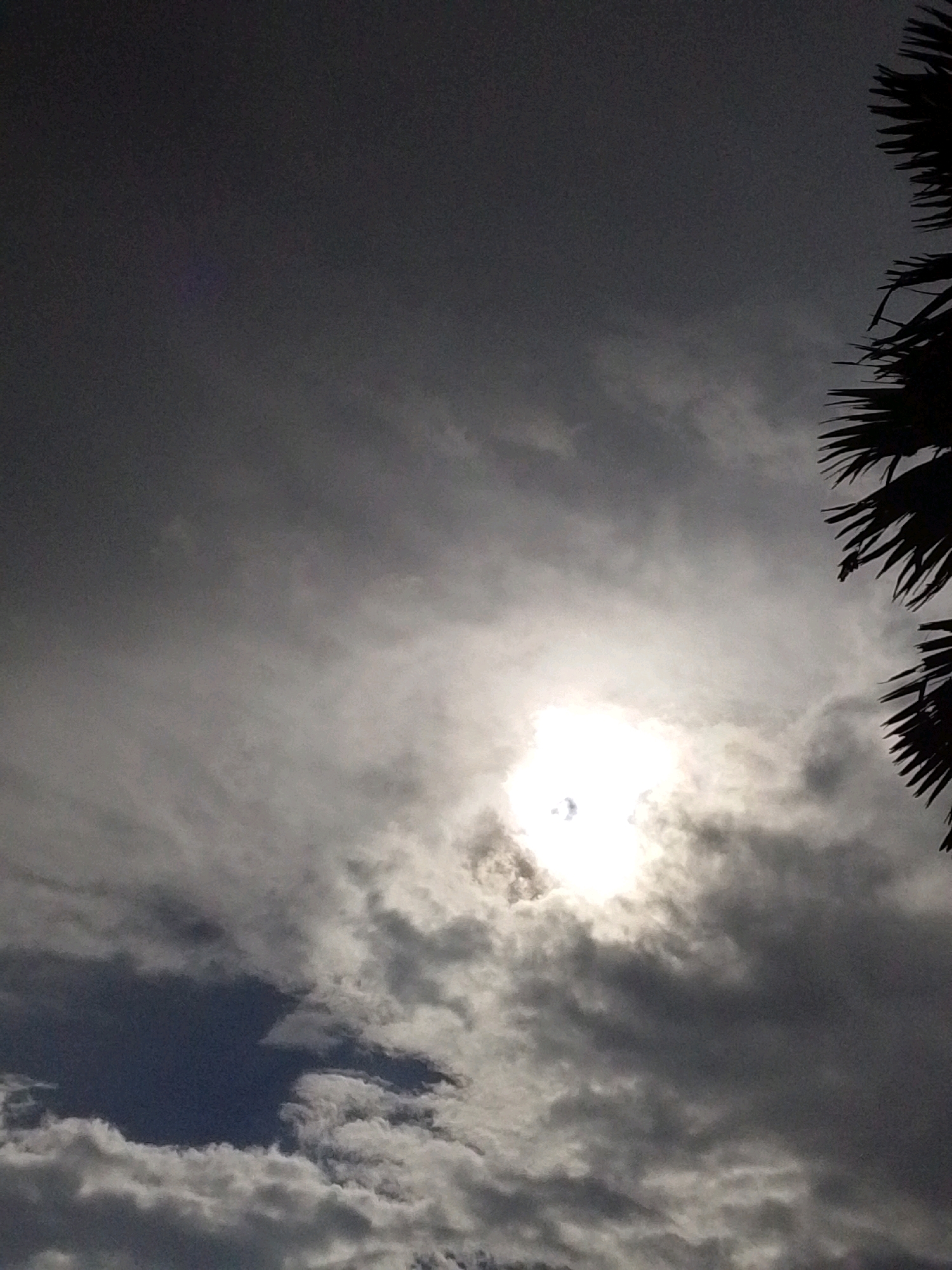 The image depicts a cloudy sky with the sun partially obscured by clouds, creating a bright halo effect. In the upper right corner, a portion of a palm tree's fronds is visible, silhouetted against the sky. The overall lighting suggests it might be daytime, possibly late afternoon or early evening, given the diffused sunlight and the dark clouds. The scene appears to be an outdoor setting, potentially in Serti, Nigeria, as indicated by the palm tree which is common in tropical regions. There are no people or specific objects that would suggest a particular activity or event. The focus is on the natural elements of the sky and vegetation.