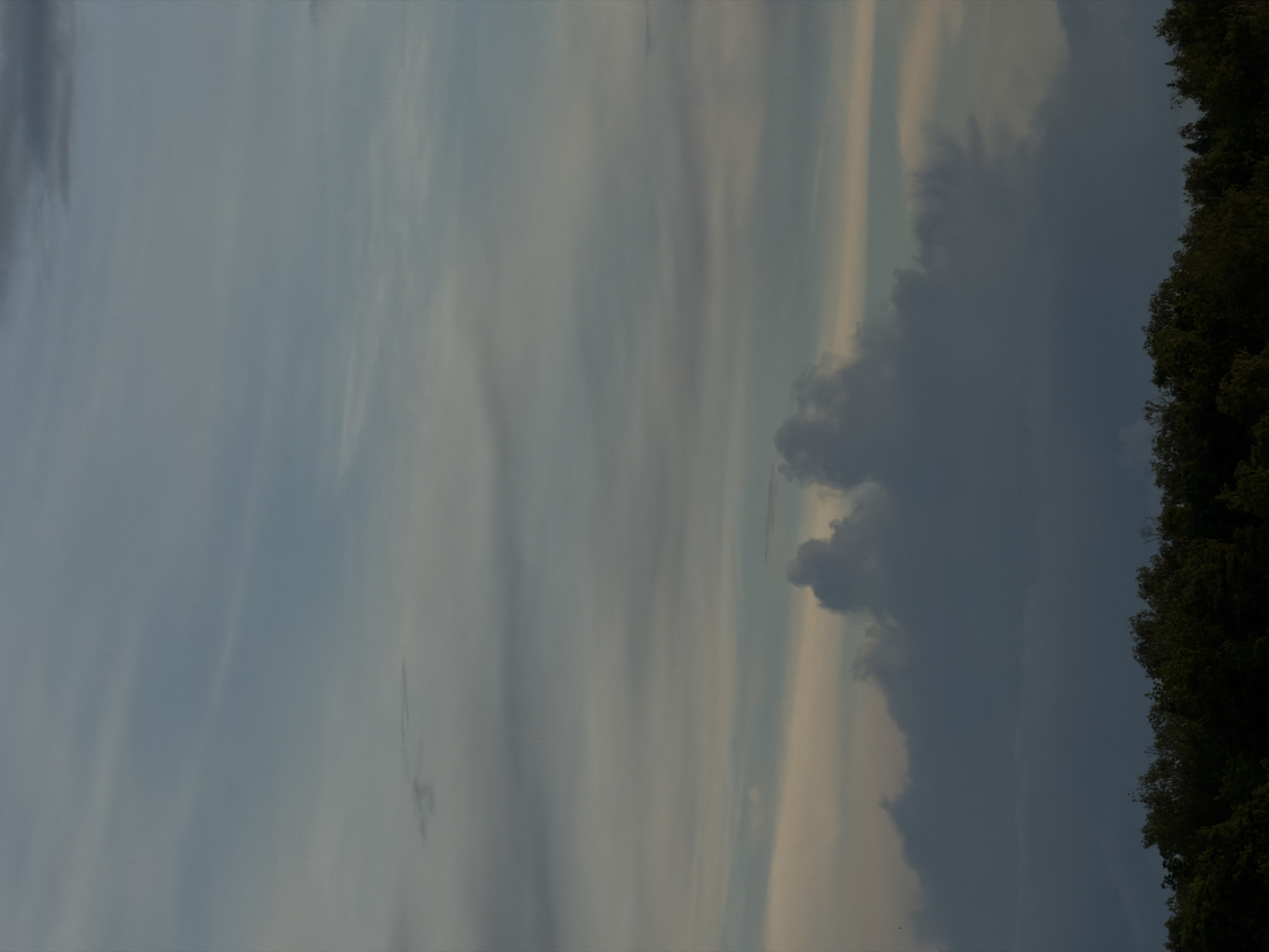 The image shows a sky with light blue and grey clouds. On the right side of the image, there is a line of dark green trees. The location is unknown. There are no people present in the image.