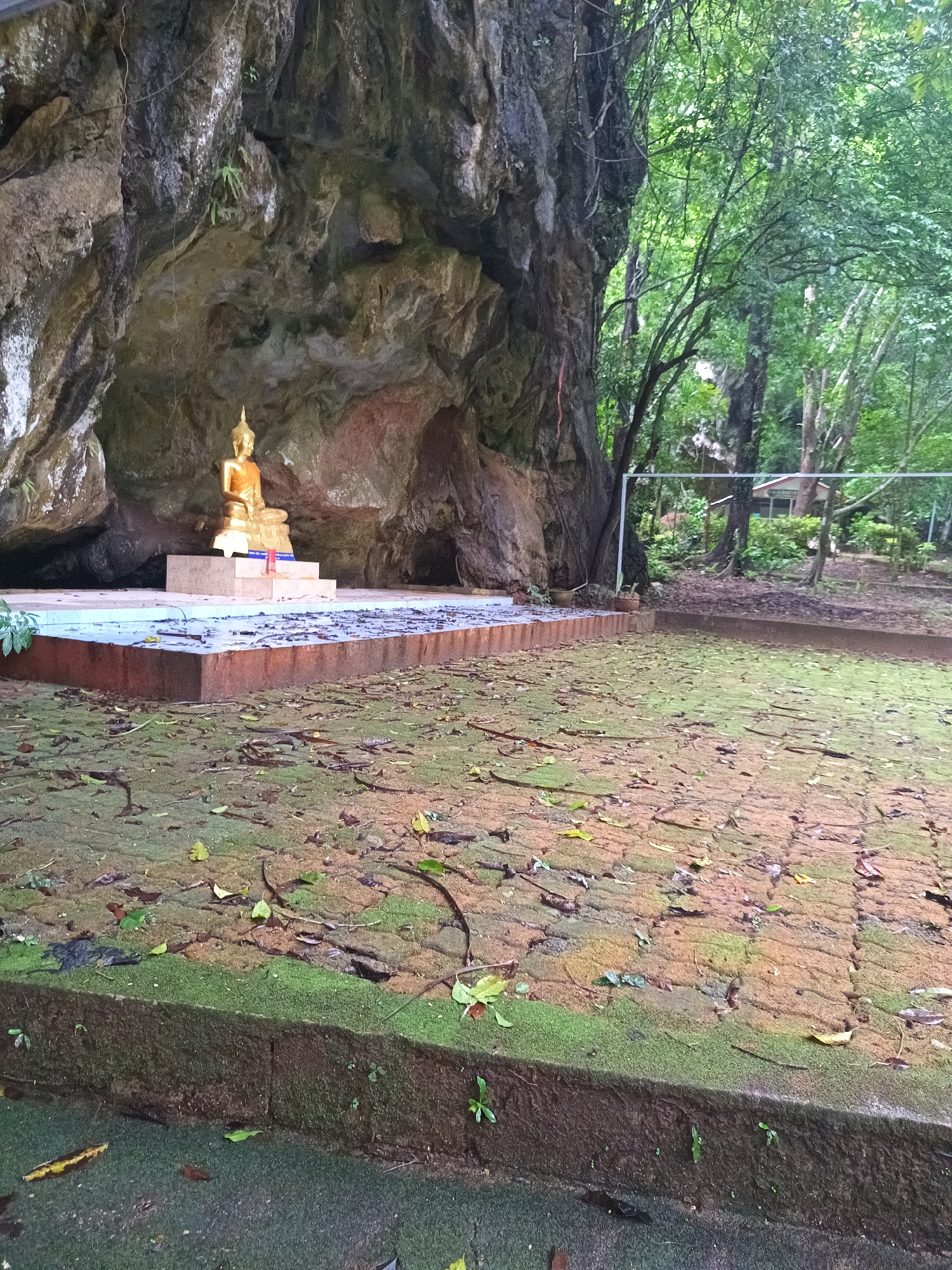 A ground-level, long shot depicts a golden Buddha statue positioned within a cave-like structure, set against a backdrop of lush greenery, located in Unknown, Unknown.
The Buddha statue, the focal point, is situated on a raised platform. The cave-like structure provides a natural frame, the rough and weathered rock contrasting with the smooth, reflective surface of the statue.
The foreground consists of a brick-paved area scattered with fallen leaves, hinting at a natural, possibly outdoor setting. The bricks display varying shades of brown and are partly covered with moss, suggesting a humid climate.
To the right of the cave, a dense cluster of trees and foliage creates a natural backdrop. A glimpse of a structure or building is visible through the trees, suggesting a proximity to civilization.