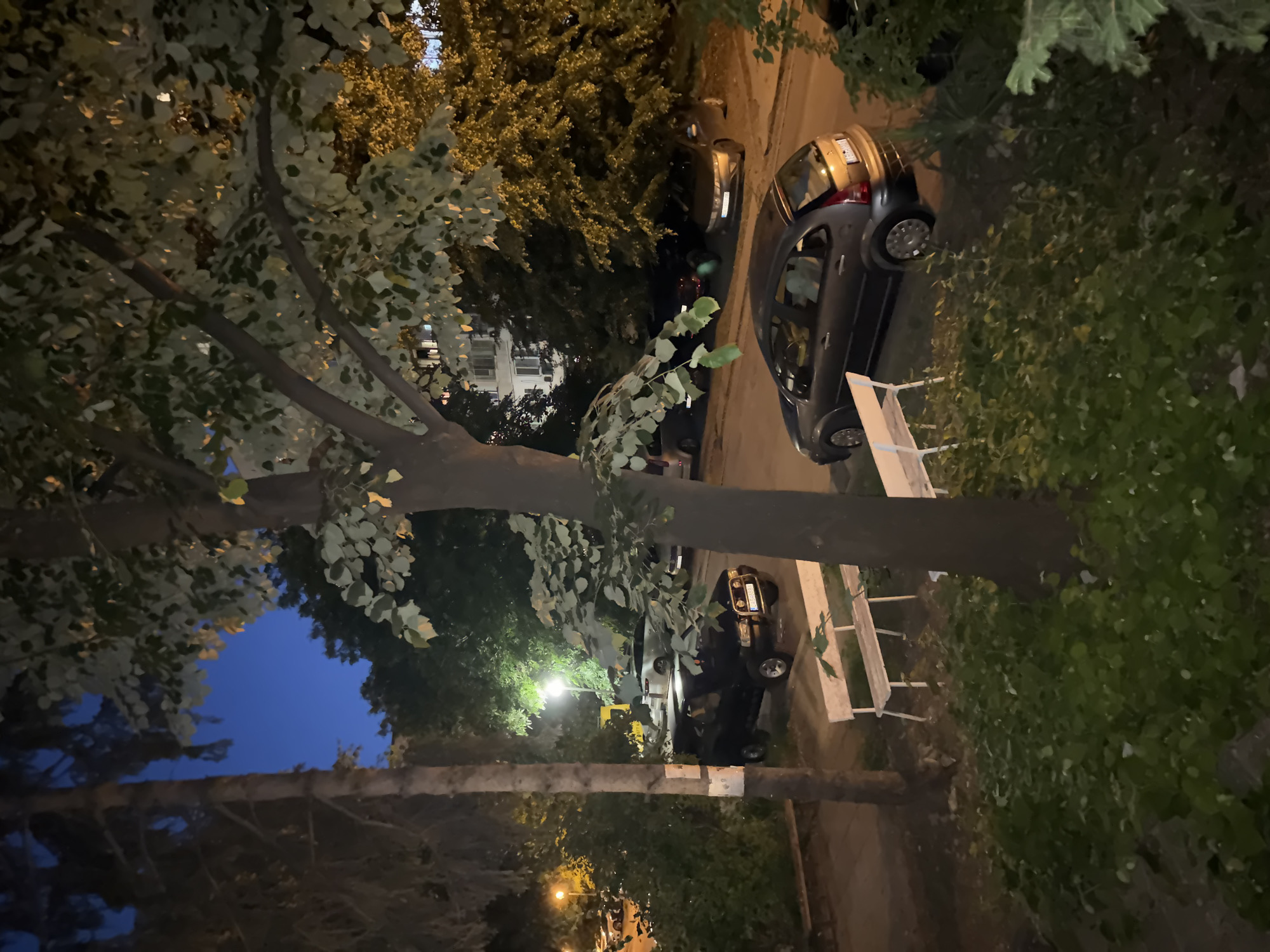 This image captures a nighttime scene in an urban residential area, likely in Sofia, Bulgaria, indicated by the presence of a Cyrillic license plate on the dark SUV. The setting appears to be a courtyard or parking area adjacent to a multi-story apartment building.
In the foreground, two white park benches are visible, suggesting a communal seating area. They are positioned amidst dense green foliage. A prominent tree with a thick trunk and broad leaves dominates the mid-ground, its branches partially obscuring the view.
Several vehicles are parked in the scene. A dark-colored SUV is positioned to the left of the frame, facing towards the viewer. To its right, a grey hatchback is parked. Further back, other vehicles are partially visible, including what appears to be a white car.
A streetlamp casts a pool of light on the asphalted area where the cars are parked, illuminating the scene. The sky above is dark blue, indicating twilight or early night. The overall impression is a quiet, residential evening in a city setting.