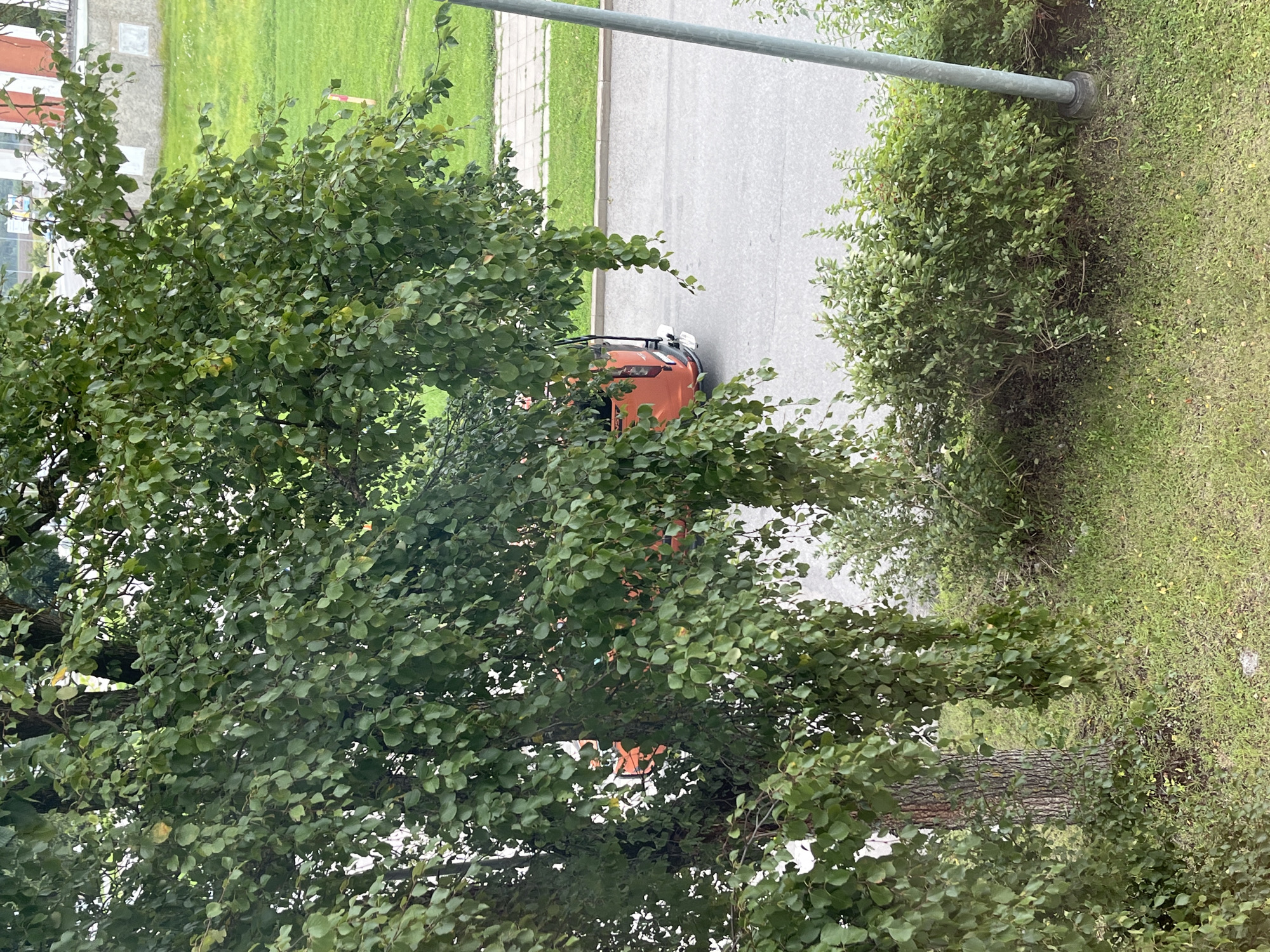 An orange van is parked on the side of a road. The van is visible from the rear, and it has a dark bumper and a tow hitch. The van is positioned on the right side of the road, which appears to be asphalt. To the left of the van and the road is a sidewalk made of concrete pavers, bordered by a strip of grass. Beyond the sidewalk, there is a large grassy area. A tall, mature tree with dense green foliage partially obstructs the view of the van and the road. The tree branches hang low, with many leaves obscuring the upper portion of the scene. In the foreground, there is a grassy area with some sparse vegetation. A tall, gray metal pole stands on the right side of the image, near the edge of the grassy area and the sidewalk. In the background, there is a building with a white facade and red accents. The sky is overcast. The scene is likely in Kohtla-Järve linn, Estonia, given the context.