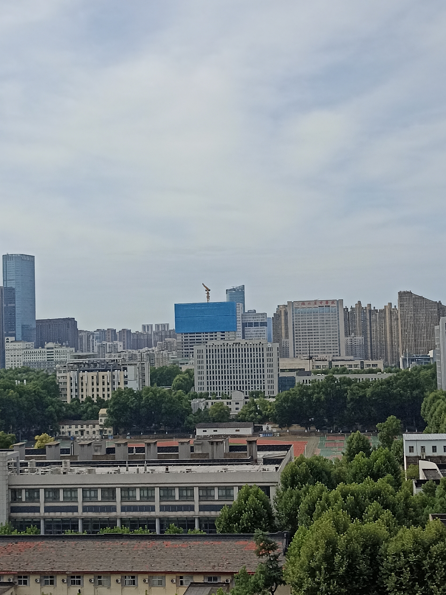The image presents a daytime, elevated view of a city skyline in Hongshan District, China. The scene is dominated by a dense collection of buildings, ranging from modern high-rises to lower-rise structures, interspersed with lush green trees. The sky is overcast with a pale, hazy blue.
In the background, a tall, slender skyscraper with a blue-tinted facade stands prominently on the left. To its right, a series of mid-rise and high-rise buildings form the urban fabric. One building features a prominent sign with red Chinese characters. A crane and a large blue tarp cover are visible on a partially constructed building in the mid-ground.
The foreground is occupied by several lower-level buildings, some with visible windows and architectural details like ventilation units. These buildings are surrounded by dense foliage. A running track and sports field are partially visible through the trees in the middle right portion of the image. The overall impression is one of urban development coexisting with significant green spaces. No people are discernable in the image.