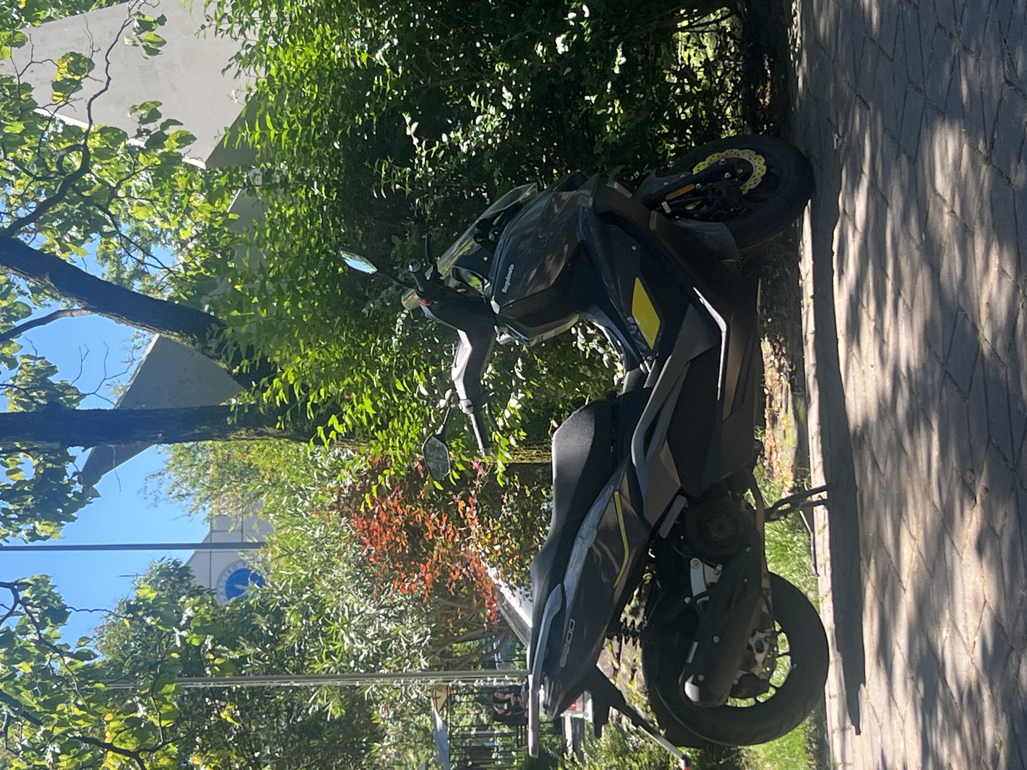 A dark-colored scooter is parked outdoors on a paved path, surrounded by lush green foliage and trees, under bright sunlight. The image is oriented vertically.
The central subject is a black or dark grey scooter with distinctive yellow accents on its body panels and the front wheel's brake disc. Visible details include handlebars, side mirrors, a windshield, a black seat, an exhaust pipe, and both front and rear wheels. Text "Ragaleiro" is visible on the front fairing, and "G200" is seen on a side panel below the seat.
The scooter rests on a path made of interlocking pavers, with long, distinct shadows cast across it, indicating strong sunlight. To the left and behind the scooter are numerous trees and dense bushes, predominantly green, with some areas showing reddish-brown foliage. In the background, partially obscured by trees, is a light-colored building.
A blue circular logo featuring a stylized white bird-like emblem is visible on the building. While accompanying text is largely illegible due to distance and blur, this logo strongly resembles the emblem of Sochi State University, aligning with the provided location context of Sochi, Russia. Overhead wires are also present in the background.
The clear sky and pronounced shadows suggest a bright, sunny day, likely mid-morning or early afternoon. No activity or people are depicted; the scooter is stationary.