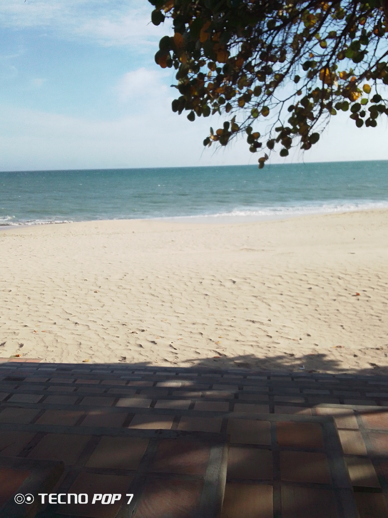 The image depicts a beach scene in Pedro González, Venezuela. The foreground is dominated by brick steps or paving leading down towards the beach. Above, the beach stretches out, meeting the ocean in the middle distance. The ocean is calm with gentle waves reaching the shore. The sky is light blue with some clouds. A tree branch with leaves overhangs the scene on the right. At the bottom left corner, the words "TECNO POP 7" are visible.