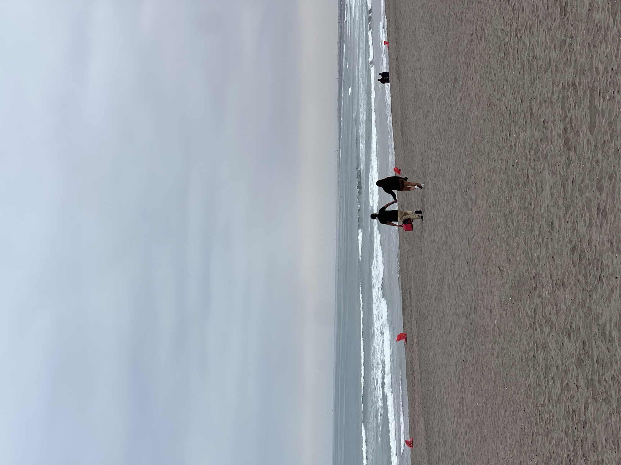 The image depicts a coastal scene at a beach in Arica, Chile, marked by red flags along the shoreline. The sky is overcast. Two people are walking along the water's edge, holding hands. In the distance, there is another pair of people on the beach. One individual carries a red object. Waves are visible as they break along the shore. The sand on the beach appears dark.