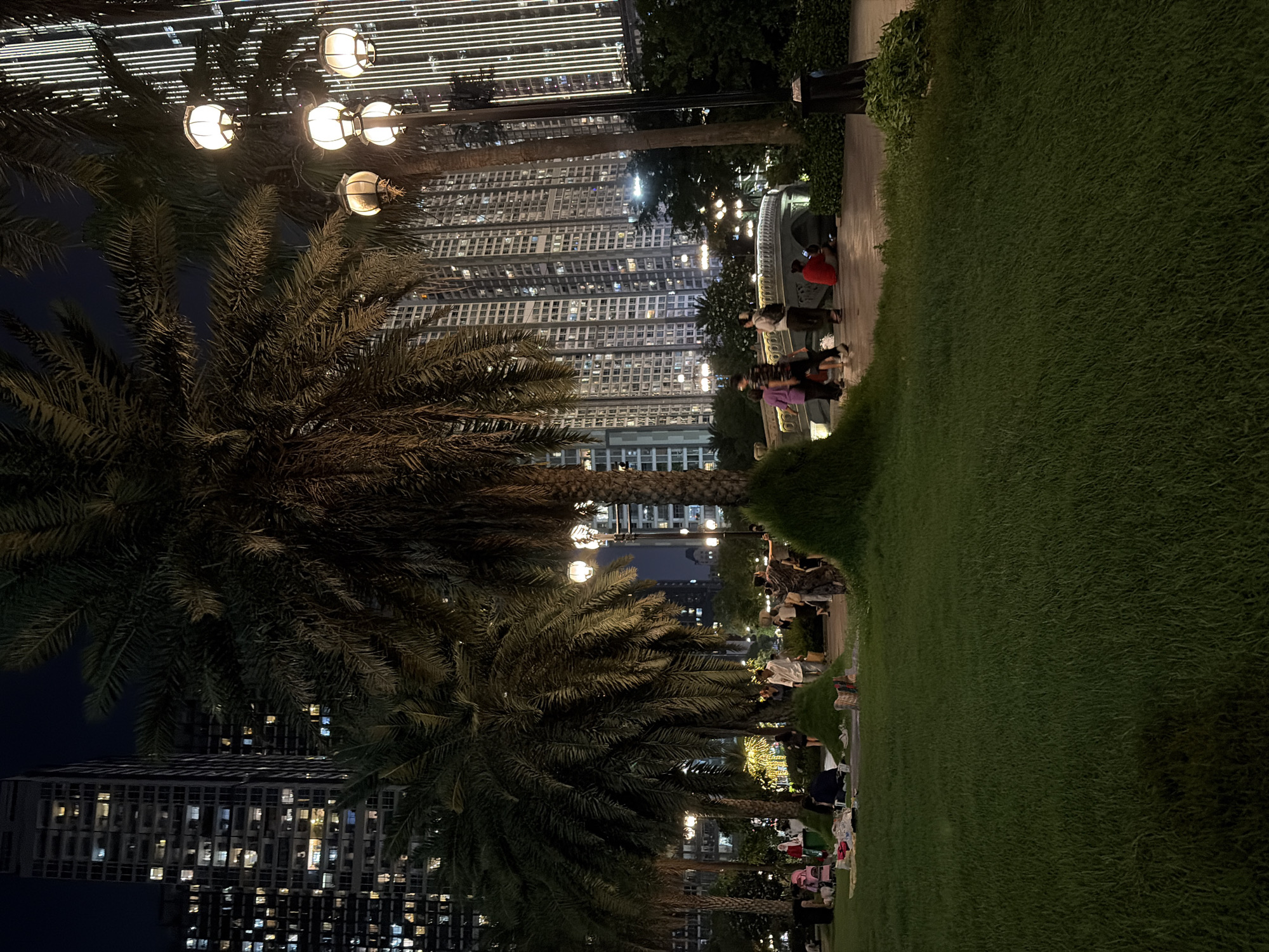 This night-time image captures a bustling urban park in Thủ Đức, Vietnam, framed by a dark sky and illuminated high-rise buildings. The foreground features a wide expanse of neatly manicured dark green grass, where several individuals are gathered on blankets or mats, engaged in a picnic or social gathering. A pink baby stroller and various belongings are visible among them. Small grassy mounds punctuate the transition from the lawn to a paved pathway that winds through the midground.
Numerous tall palm trees with dense, dark fronds dominate the midground, partially obscuring the background architecture. Ornate street lamps with globe-shaped lights cast warm illumination onto the scene; a prominent lamppost with four lights stands on the far right. Along the paved path, multiple individuals are walking; one person in a light shirt is visible near the center, and a group is seen near a light-colored arch bridge with railings in the mid-right. A person in a red shirt is seated near the bridge, engrossed in a mobile phone.
The background is dominated by a dense cluster of towering modern high-rise buildings, their numerous windows glowing with interior lights, indicating active occupancy. A distinct building on the far right features a striking facade illuminated by vertical white light strips. The overall scene depicts a lively public green space in a dense urban environment at night.