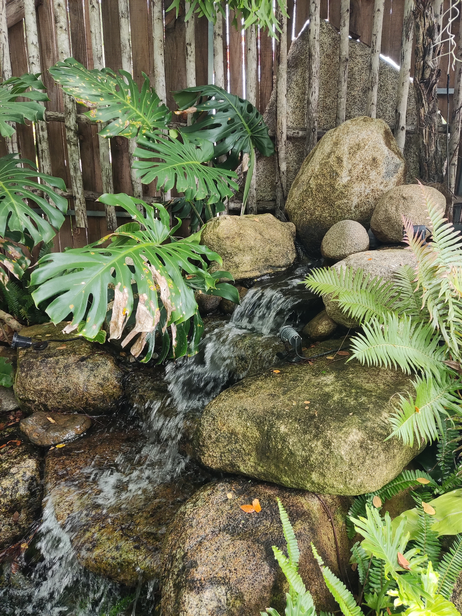 The image shows a close-up view of a small, rocky waterfall with lush green foliage. Several large, moss-covered rocks are prominent in the scene, with water cascading over them. A large Monstera leaf with some browning and yellowing is visible in the upper left portion of the image, partially obscuring a wooden fence behind it. Various ferns and other green plants are interspersed among the rocks. A small black spotlight is positioned on a rock near the waterfall. The overall impression is a serene, naturalistic garden setting.