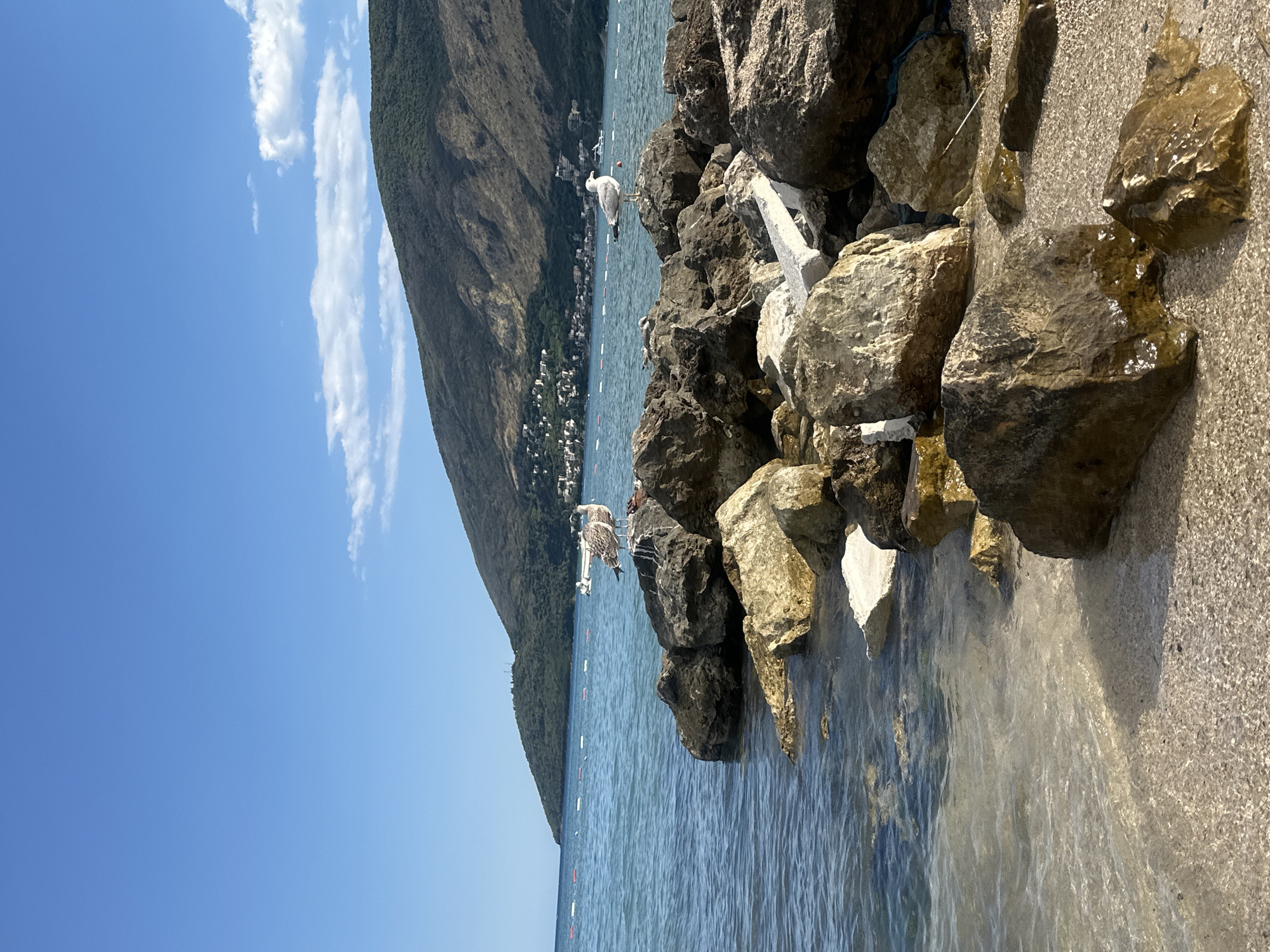 The image depicts a coastal scene with a clear blue sky and a verdant mountain slope in the background. The foreground is dominated by a rocky shore with several large, weathered boulders. Two seagulls are perched on these rocks, one facing left and the other facing right. The water is calm and translucent, revealing the sandy seabed near the shore. In the distance, a line of buoys marks a section of the water, and a few buildings are visible nestled along the base of the mountain. The scene suggests a serene day at the beach in Igalo, Montenegro.
