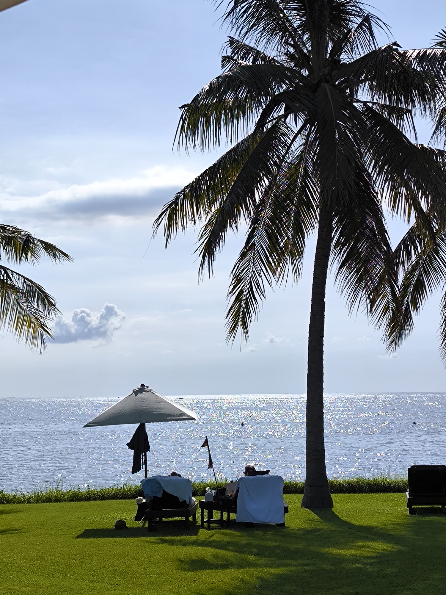 The image depicts a tropical beachfront scene, likely in Sigar Penjalin, Indonesia. The foreground features a lush green lawn leading to a shimmering ocean under a partly cloudy sky. A large coconut palm tree dominates the right side of the image. In the midground, there are two lounge chairs under a white umbrella, with two people reclining. A small table stands between the chairs. A coconut sits on the grass near the lounge chairs. In the distance, the ocean sparkles with sunlight. A dark object resembling a chair or lounge is seen to the right of the frame.