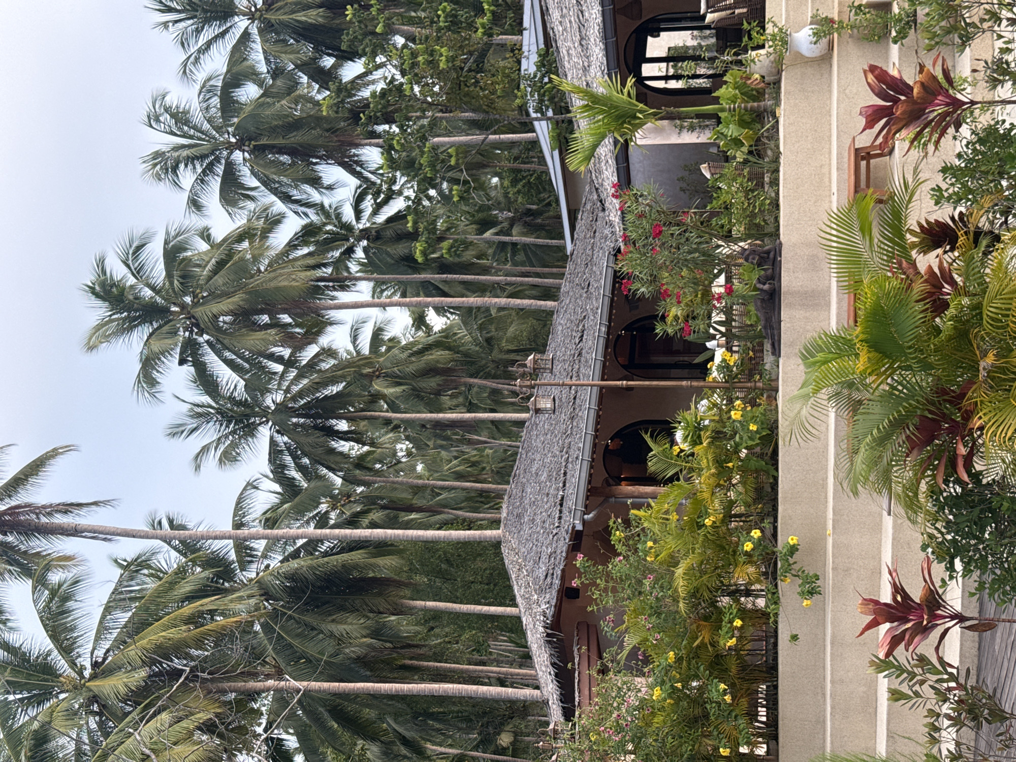 This is a photograph of a tropical resort building with a thatched roof, surrounded by lush palm trees, likely in Ko Pha-ngan District, Thailand. The building features arched doorways and windows, and is partially obscured by vibrant flowering plants and foliage. A tiered stone pathway leads up to the building, with various potted plants and decorative items visible. The sky is overcast. There are no people visible in the image. The overall scene conveys a sense of tropical tranquility and relaxation.