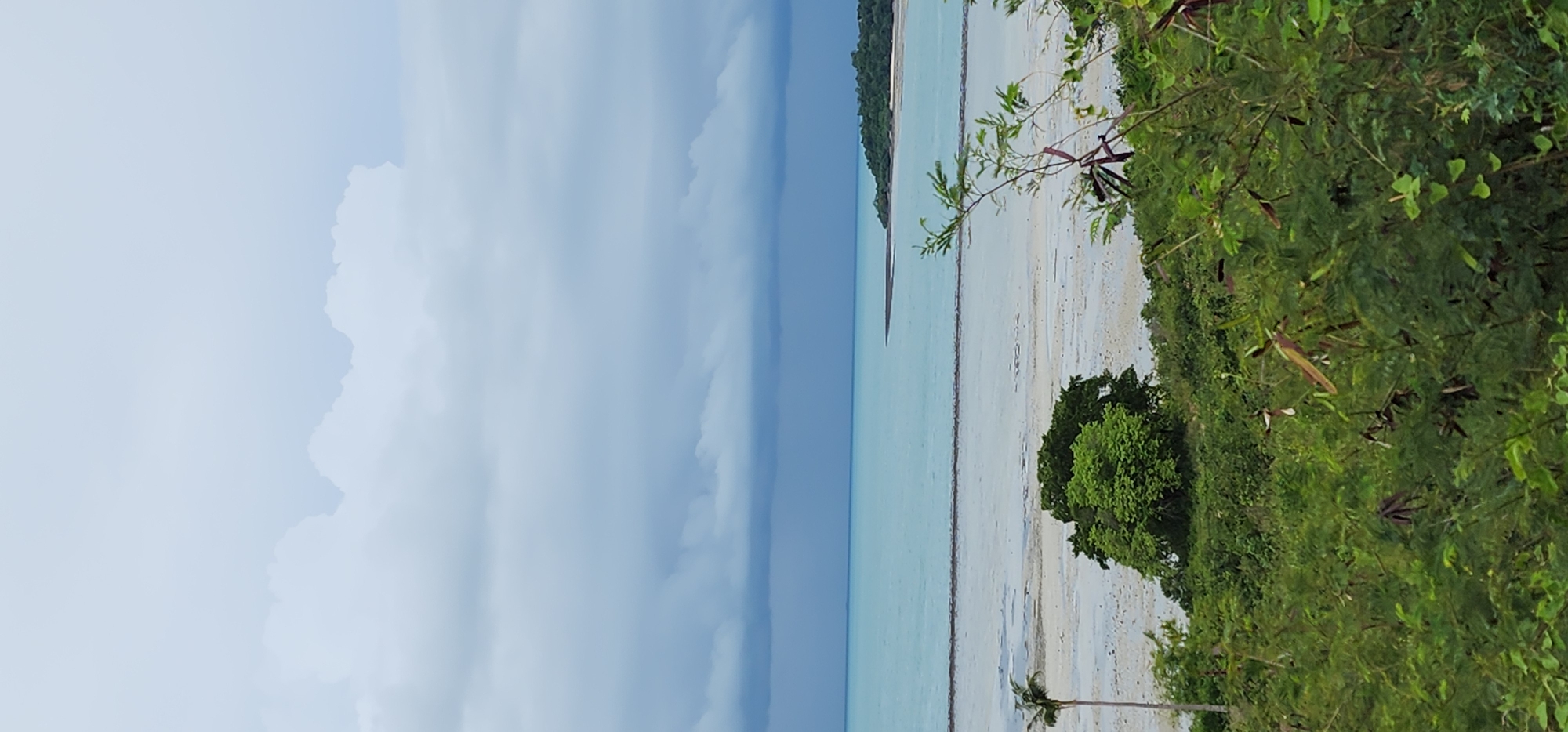 An aerial shot captures a view of a beach on a cloudy day. The image shows a wide expanse of ocean with turquoise waters meeting a sandy shore dotted with debris. Lush green vegetation covers the foreground and slopes down towards the beach. A lone palm tree stands to the left, while a dense cluster of trees is visible in the middle ground. In the distance, a peninsula juts out into the sea, its shores lined with trees. The sky is overcast with heavy, dark clouds, suggesting impending rain. The location appears to be a tropical coastal area, possibly in the Ko Samui District of Thailand, known for its beaches and tropical foliage. No people or animals are visible in the frame.