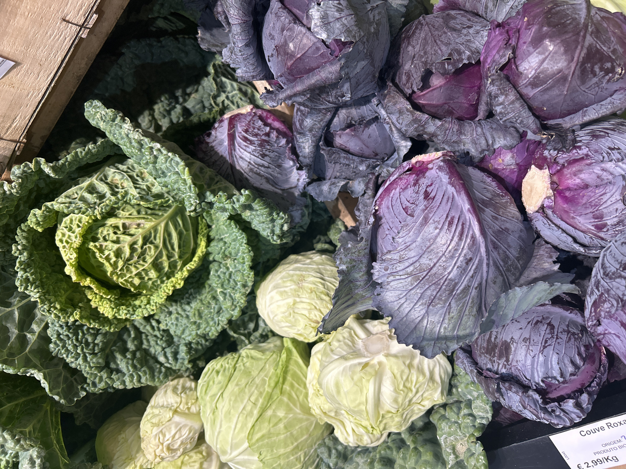 A close-up, overhead shot shows a vibrant display of various cabbages in what appears to be a market stall. The subjects are primarily cabbages, with a mix of green savoy cabbage, pale green pointed cabbage, and deep purple red cabbage. The textures vary from the tightly packed, smooth leaves of the green varieties to the crinkled, ruffled leaves of the savoy. The red cabbages have a deeper, richer hue with some visible veins on their leaves. They are piled together in a wooden crate, suggesting they are for sale. The lighting is bright, highlighting the freshness of the produce. A price tag is partially visible in the bottom left corner, reading "Couve Roxa," which translates to "Red Cabbage" in Portuguese, along with a price of "€ 2,99/Kg." This, combined with the Portuguese text on the price tag, strongly suggests the location is Porto, Portugal, likely within a market such as Mercado do Bolhão. There are no people or animals visible in the frame, and the focus is entirely on the colorful arrangement of vegetables.