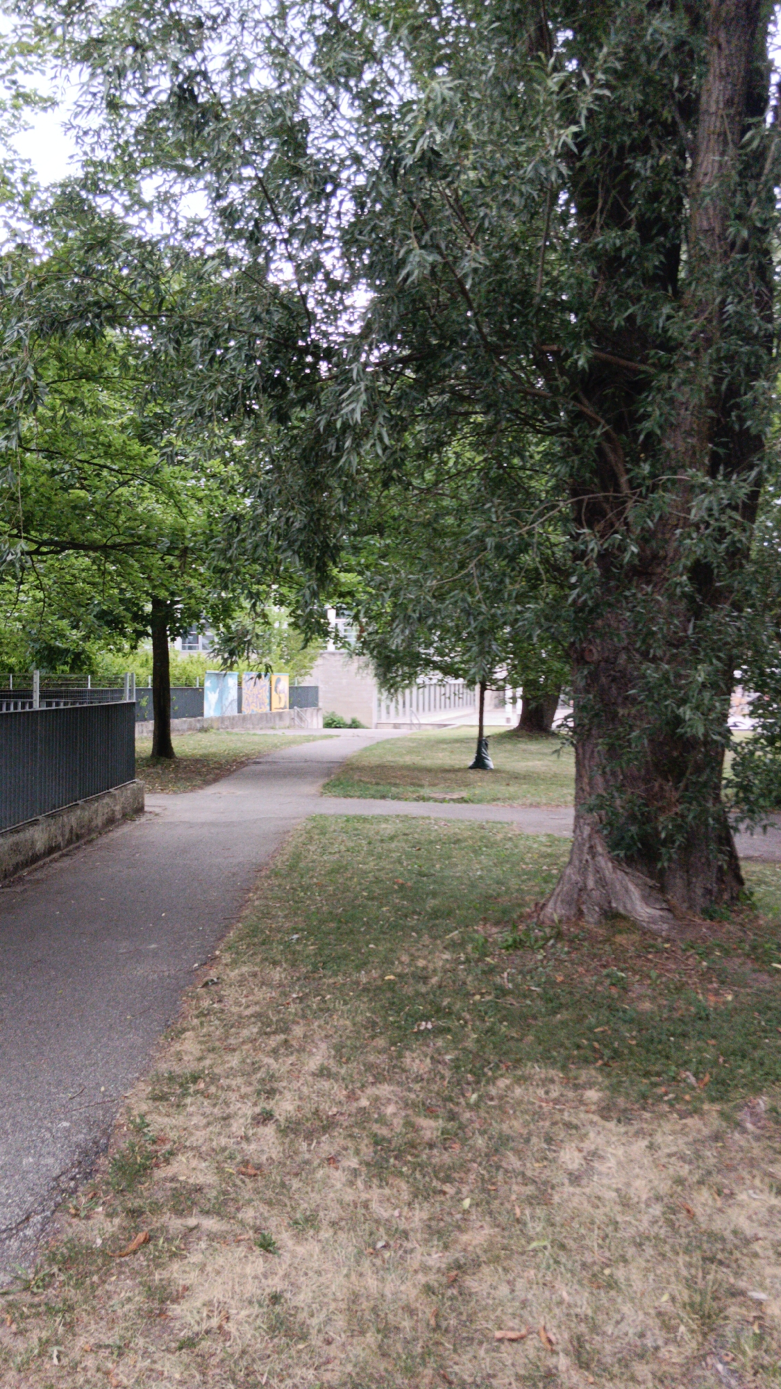 The image depicts a paved walkway in a park-like setting in Sankt Pölten, Austria. A dark gray metal fence runs along the left side of the walkway. Beyond the fence, there is a grassy area with several trees. In the background, there are some buildings with visible windows and colorful decorative panels on the exterior walls. A large tree with dark, textured bark is prominently featured in the right foreground. The walkway curves gently to the right and leads into the distance. The ground on the right side of the walkway is covered in dry, light-colored grass with scattered fallen leaves. The sky is overcast and visible through the dense green foliage of the trees.