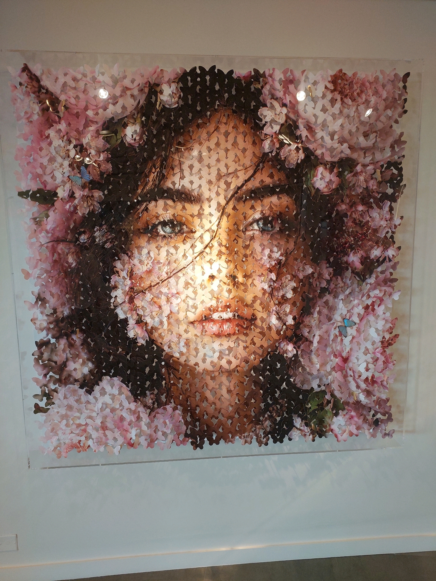 This is a medium shot of a framed artwork, likely a piece of wall art, mounted on a white wall in what appears to be an art gallery or exhibition space. The artwork itself is a portrait of a woman's face and shoulders, rendered entirely from cutouts that resemble butterfly wings or flower petals. The cutouts vary in color, with shades of pink, white, and dark brown, creating a mosaic-like effect that forms the woman's features and her hair. There are also some green elements scattered throughout, possibly representing leaves. The overall effect is ethereal and delicate. A single blue butterfly cutout is visible on the right side of the artwork. The artwork is illuminated by a spotlight from above, casting a soft glow on the piece. The wall is plain white, and a thin white baseboard runs along the bottom of the wall. The floor is a dark gray, possibly concrete or a dark tile.
While the specific location in Saint-Paul-de-Vence, France, is not visible in the image, this type of artwork is consistent with what might be found in galleries within such a historic and artistic Provençal village.
