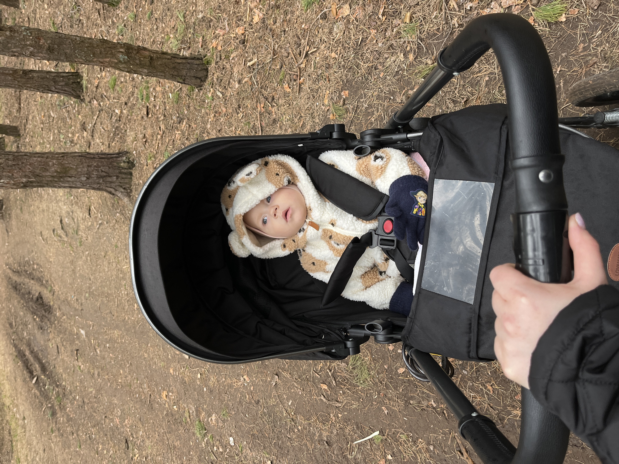 The image captures a baby in a black stroller, being pushed along an outdoor dirt path in what appears to be a wooded area or forest. The camera perspective is a high-angle shot looking down into the stroller and slightly ahead.
The main subject is a baby, likely an infant or young toddler, lying in the stroller. The baby is wearing a cream and brown mottled fleece hooded suit, possibly designed to resemble an animal like a bear or puppy, complete with ears on the hood. A light pink bonnet is visible under the suit's hood. The baby has large, light-colored eyes and is looking upwards with a calm, curious expression. The baby is secured in the stroller with a black harness.
The stroller is black and modern, with a sturdy design. A black handlebar is being held by a person's hand, partially visible on the right side of the frame, wearing a black quilted jacket. Tucked into a side storage area of the stroller, which features a clear plastic window, is a navy blue glove with a visible cartoon character, possibly Elsa from Disney's *Frozen*. A small red button is also visible on a strap near the glove. A brown tag with the text "LOVAMADE" is attached to the stroller's side or bag.
The setting is an unpaved outdoor environment. The ground is covered with light brown dirt, dried leaves, pine needles, and sparse patches of green grass, typical of a forest floor. Several thick tree trunks, appearing to be pine trees, are visible on the left side of the image, lying on the ground.
The activity depicted is an adult pushing a baby in a stroller outdoors. The natural light suggests it is daytime. The baby's warm clothing and the handler's jacket indicate potentially cool weather. The location context suggests this scene is in Chaikovsky, Russia, within a natural, unurbanized area.