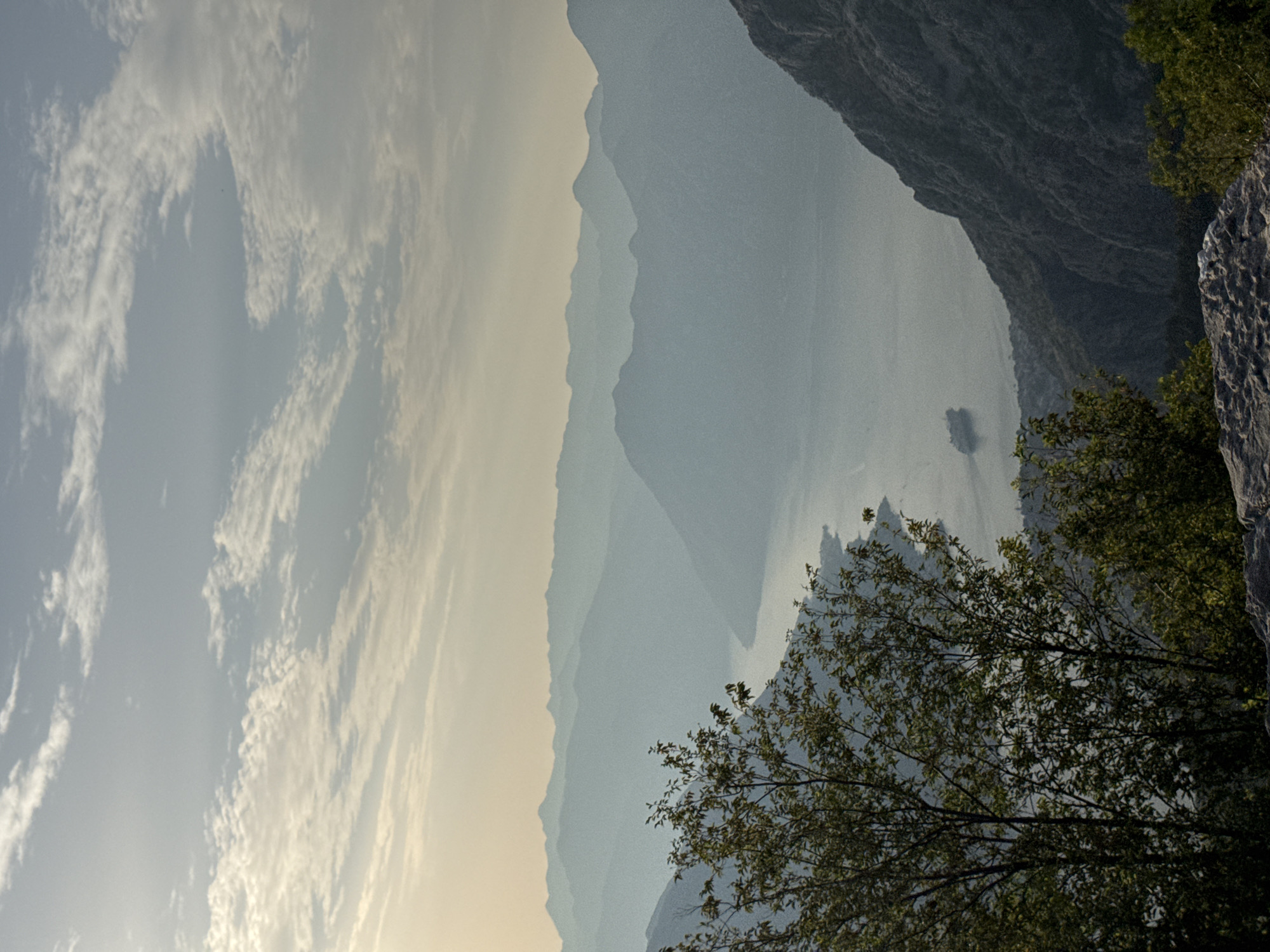 An outdoor, vertical, eye-level, medium shot captures a panoramic view of a serene bay surrounded by hazy blue mountains under a sky filled with wispy, pale clouds. The sun, positioned in the upper left, casts a soft, warm glow, highlighting the delicate atmospheric perspective of the layered mountain ranges that recede into the distance. In the middle ground, a body of water, possibly a bay or fjord, is visible, with a lone, large cruise ship navigating its surface. The foreground is dominated by dark green trees and shrubbery, with one prominently featured tree on the left side of the frame. A rocky surface is also visible in the lower part of the image, suggesting a high vantage point. The scene is set in or around the city of Žanjev Do, Montenegro, an area known for its dramatic coastal landscapes.