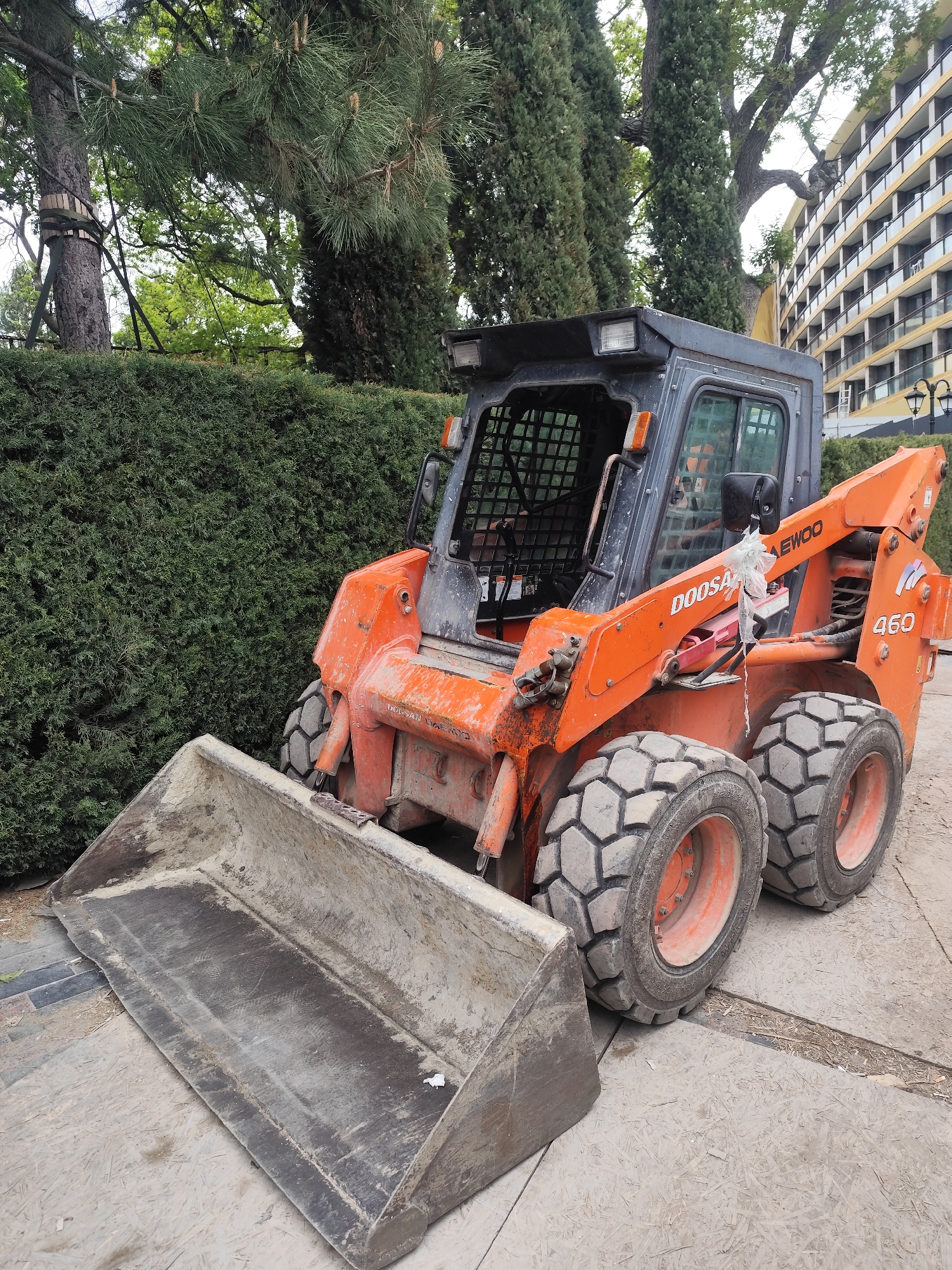A vibrant orange and black Doosan Daewoo 460 skid-steer loader is prominently featured, parked outdoors. The heavy equipment has a large, dirty front bucket and four robust, heavily-treaded tires. Its operator's cabin is protected by a sturdy cage, and the brand names "DOOSAN" and "DAEWOO" are visible on its orange hydraulic arm, along with the model number "460" near the rear wheel.
The setting combines natural elements with man-made structures. To the left, a dense green hedge serves as a backdrop, behind which tall trees with pine needles and cones rise. One tree trunk on the far left has a brace or strapping around it. To the right and in the background, a large, multi-story building with numerous balconies and a yellow-toned facade suggests a hotel or apartment complex.
The loader is parked on a surface that appears to be a mix of pavement or large wooden sheets, with some dirt and debris scattered around, hinting at recent or ongoing construction, landscaping, or maintenance work. The scene is illuminated by soft, diffused daylight, suggesting either an overcast day or early morning/late afternoon. There are no people visible, indicating the machine is currently stationary. The location context is Симеизский поселковый совет, Ukraine.