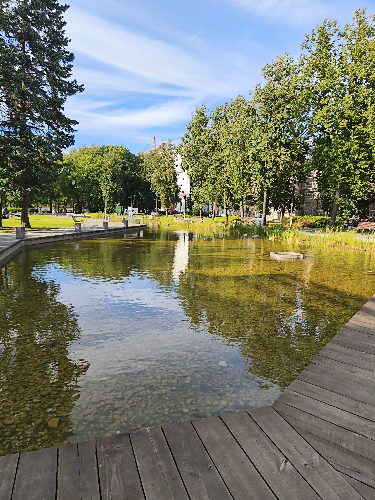The image depicts a tranquil pond in a city park, likely located in Tallinn, Estonia, given the architectural style and foliage. The foreground is dominated by a wooden boardwalk, its planks weathered and aged, running diagonally from the bottom right corner. The pond itself is a focal point, its water clear enough to reveal a bed of pebbles and stones. The surface of the water reflects the surrounding environment, including the lush green trees and a bright blue sky dotted with wispy white clouds.
Along the edge of the pond, there is a paved pathway with several concrete planters and a few wooden benches, suggesting a public space designed for relaxation and contemplation. Tall evergreen trees, characteristic of northern climates, stand majestically on the left, framing the scene. Behind the pond, a row of deciduous trees with vibrant green foliage creates a dense backdrop, partially obscuring buildings in the distance. One building, appearing to be under construction or renovation, shows scaffolding. The overall atmosphere is serene and bathed in natural light, indicative of a pleasant day in a well-maintained urban park. No individuals are clearly visible within the frame, contributing to the sense of quietude.