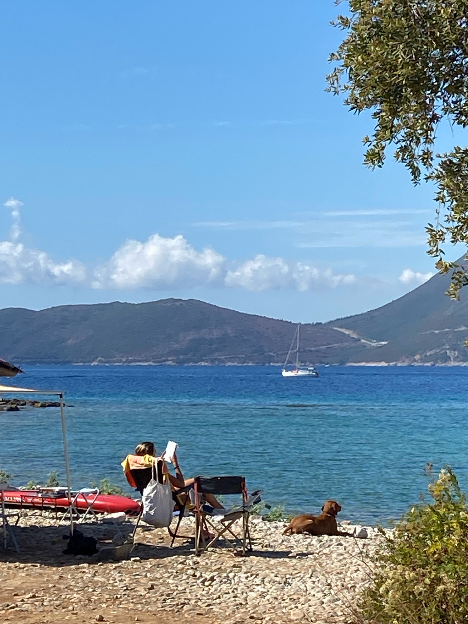 An outdoor scene on a sunny day at the Luštica peninsula in Montenegro depicts a peaceful waterside setting. In the foreground, a person sits in a folding chair, engrossed in reading a book, with a yellow towel draped over their shoulders and a white bag hanging from the chair. Nearby, a red kayak rests on the rocky shore. To the right, a brown dog lies on the pebbles, facing the water. In the middle ground, a sailboat glides across the calm, blue sea. The background features rolling green hills that meet the horizon under a clear blue sky dotted with white clouds.
