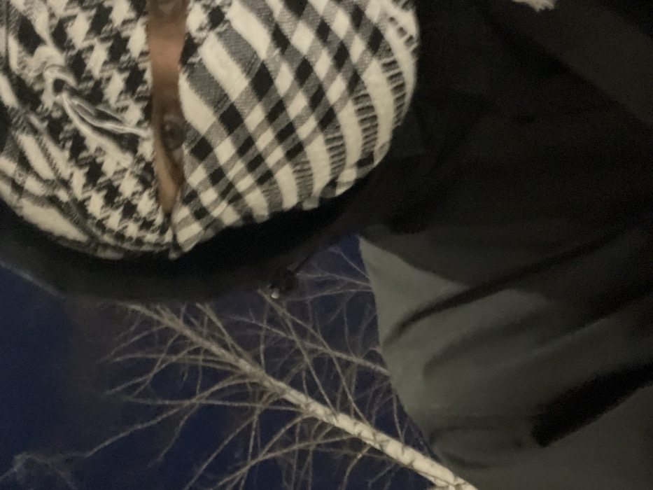 The image captures an individual outdoors at night in Yelabuga, Russia. The subject is partially visible in a close-up, low-angle shot, facing towards the camera. They wear a dark hooded garment with the hood up, and their face is mostly concealed by a black and white checkered keffiyeh-style scarf, leaving only their brown eyes visible. A small, dark object is discernible near the subject's left ear. The background consists of a dark blue night sky and the bare, light-colored branches of a deciduous tree. No specific actions or interactions are depicted beyond the subject's gaze towards the camera.