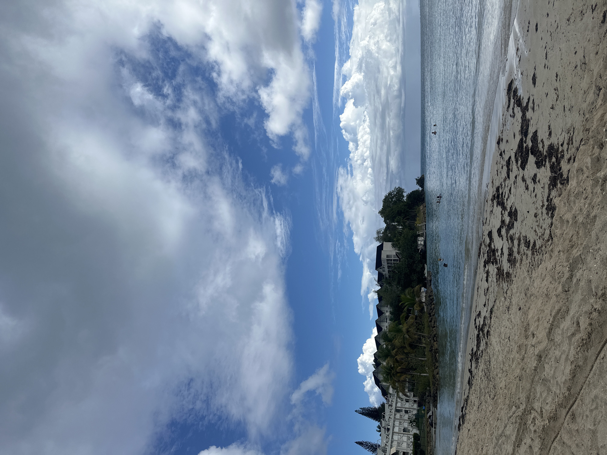 The image depicts a coastal scene in Le Gosier, France, featuring a beach with light-colored sand covered in scattered dark seaweed or debris. The water is calm and reflects the sky, with a few individuals visible swimming or standing in the distance. Adjacent to the beach, there is a line of vegetation, including palm trees and other tropical foliage, leading to residential buildings or resorts. The sky is predominantly blue, filled with white, fluffy clouds, indicative of a sunny day with potential scattered cloud cover. The image is taken from a low angle, possibly at ground level, giving a wide perspective of the beach and sky.