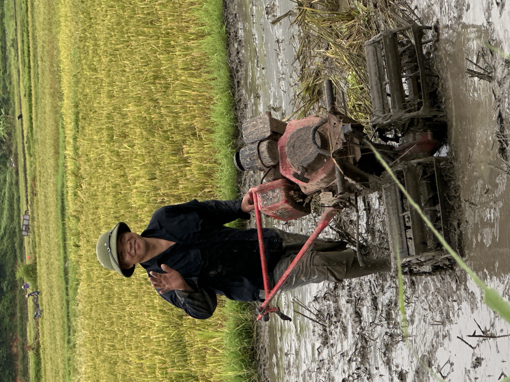 A middle-aged East Asian farmer, wearing a dark blue long-sleeved shirt, grey pants, and a green bucket hat, stands in a muddy rice paddy in Mai Chau, Vietnam. The farmer is smiling and waving with their left hand. They are operating a red and black walk-behind tractor with tines. The rice paddy is filled with water and mud, and remnants of cut rice stalks are visible. In the background, a vast field of golden-yellow rice stalks stretches towards a distant, tree-covered hillside. Several other figures are visible in the background, appearing to be working in the fields, with some also wearing conical hats. The sky is overcast, contributing to the diffused natural light.