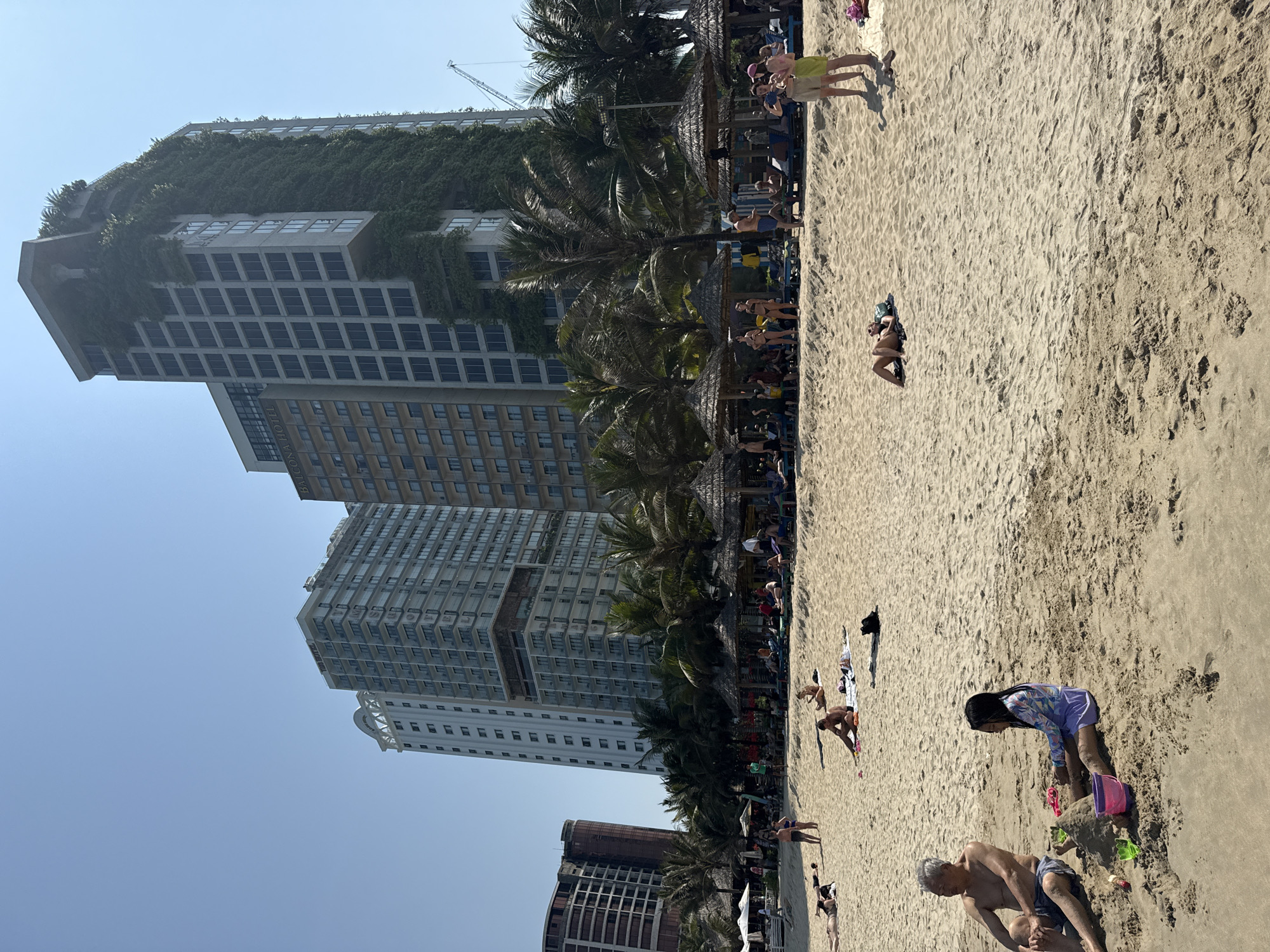 The image depicts My Khe Beach in Đà Nẵng, Vietnam, under a clear, bright blue sky. The background features several high-rise buildings. From left to right, these include a reddish-brown building with a curved facade, a tall white multi-story building with balconies, a "BALCONA HOTEL" building, and a prominent grey high-rise building extensively covered in green vertical foliage. A construction crane is partially visible behind the green-covered building.
A line of palm trees and numerous thatched parasols separates the buildings from the beach. Underneath the parasols, people are visible on beach loungers. The foreground and midground present a light-colored sandy beach with visible footprints. Approximately twenty-five individuals are present on the sand. In the bottom-left foreground, an older male with grey hair, shirtless and wearing blue shorts, sits on the sand. Beside him, a young female with long dark hair, wearing a patterned long-sleeved swimsuit, sits playing with sand, a purple bucket, and a green shovel, next to a small sand structure. Other individuals are distributed across the beach; some are lying on towels or mats, some are walking, and others are standing, including two individuals conversing in the midground-right. The scene portrays a bustling beach environment during daylight hours.
