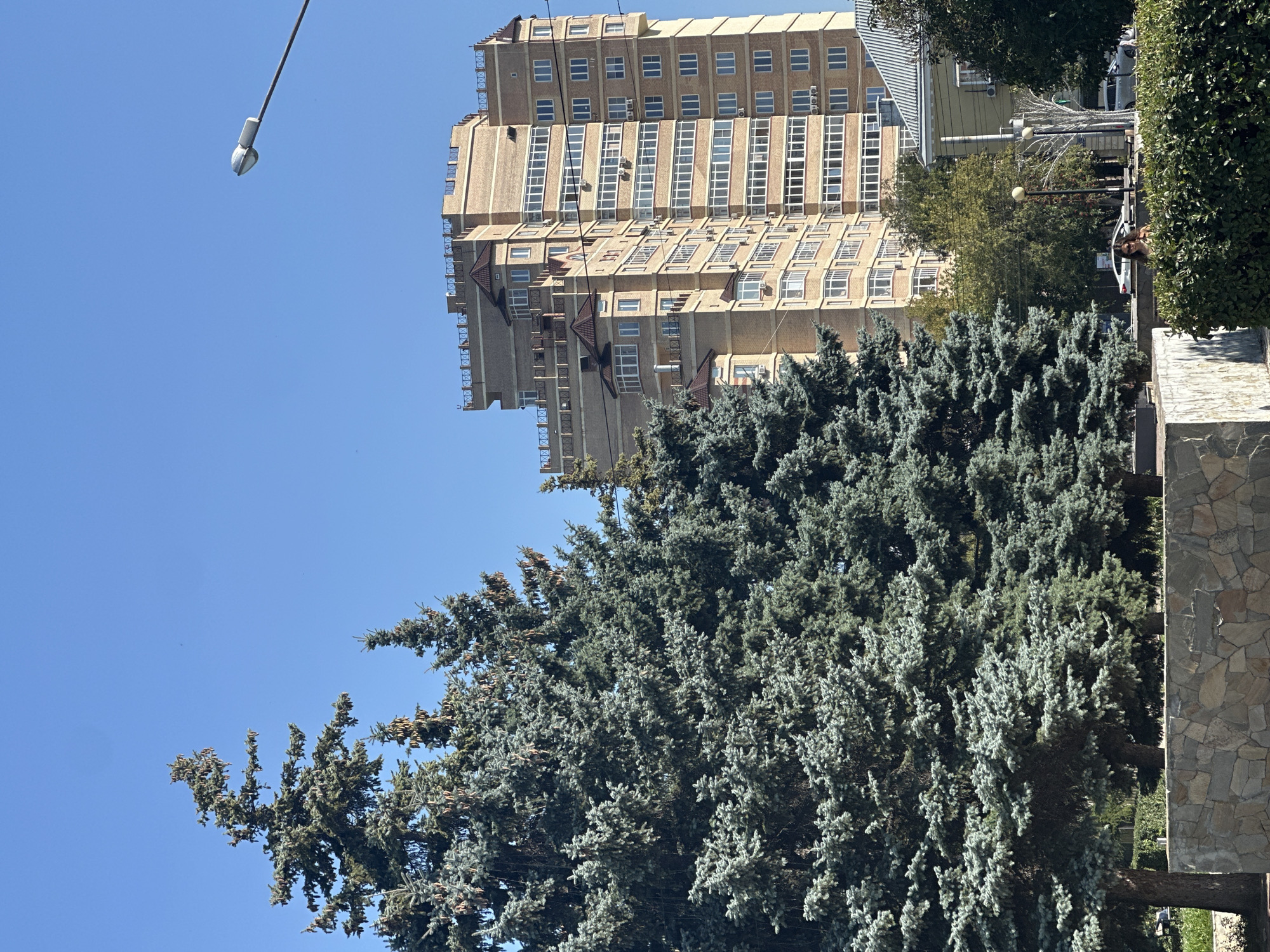 In a scene with a clear blue sky, a tall, multi-story brick apartment building dominates the background. The building features numerous windows and balconies, with a decorative railing along the rooftop. In the foreground, a cluster of large, mature evergreen trees with blue-green needles occupies the left side of the frame. A stone wall runs along the bottom, separating the trees from what appears to be a street or walkway. A lamppost is visible above the building on the right. In the middle ground, other buildings and trees are visible, along with a street with a few parked cars and a pedestrian. The overall impression is a sunny day in an urban or suburban environment.