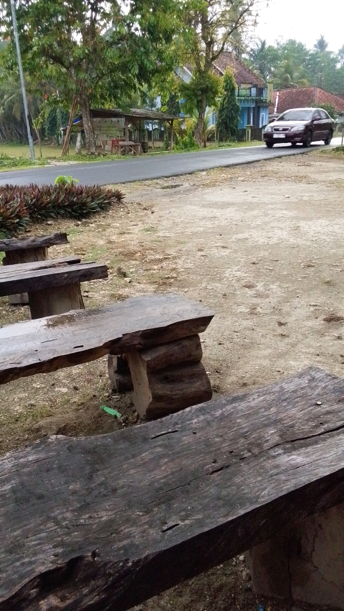 A dark red sedan is driving down a paved road in Cintaratu, Indonesia. The road is lined with trees on the left and houses on the right. In the foreground, there are three rustic wooden benches. The benches are made of rough-hewn logs and planks, giving them a weathered appearance. The ground around the benches is dirt and gravel. A few leafy plants are visible near the road, and a small, open-sided shelter with a thatched roof is situated behind them. The sky is overcast.