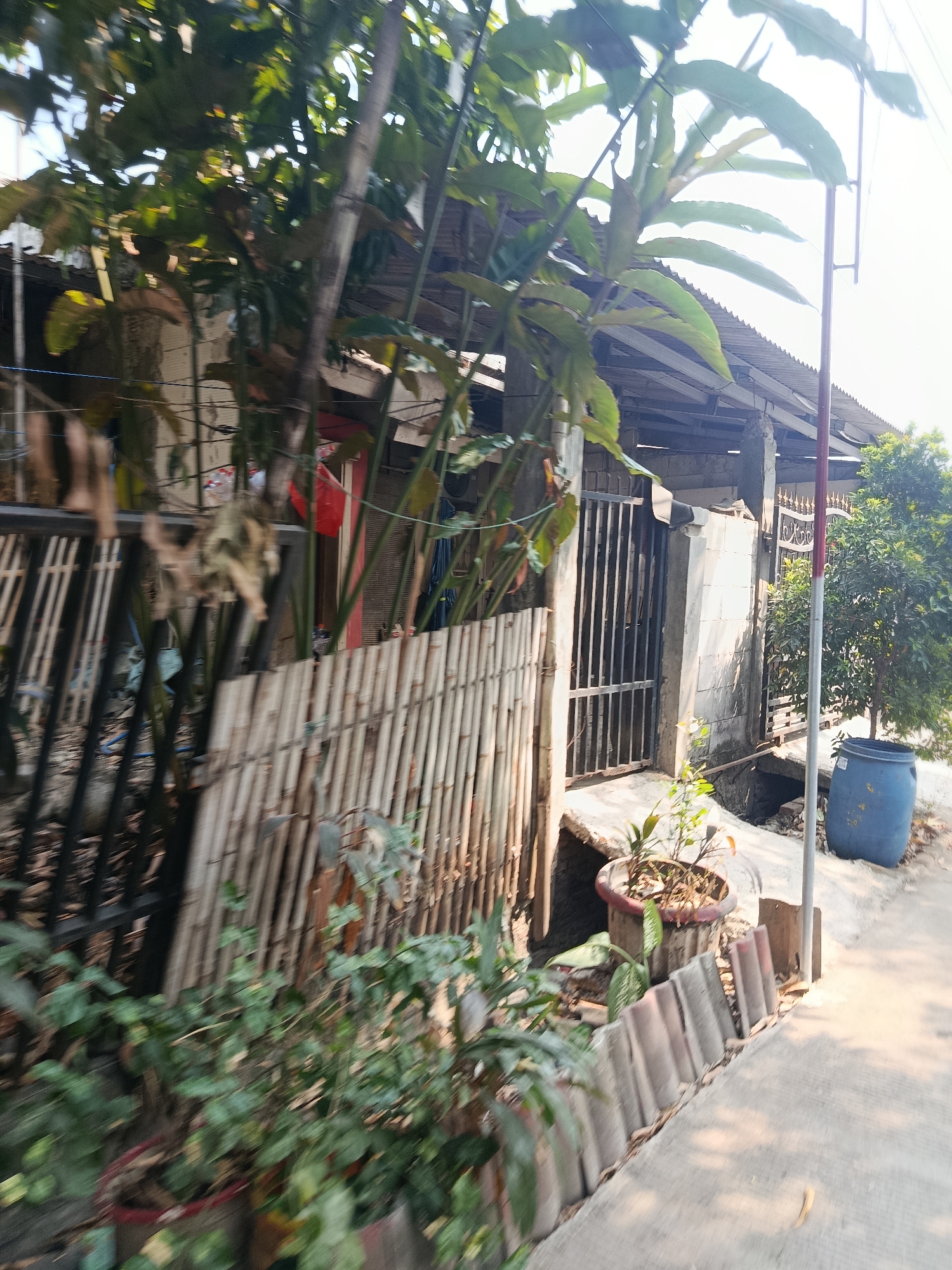 The image depicts a street scene in an urban area. In the foreground, a concrete pathway runs alongside a residential property. The property is partially obscured by lush green foliage and bamboo fencing. A metal gate provides access to the property, which appears to be a single-story dwelling with a corrugated iron roof. Several potted plants are visible, adding to the greenery. A large blue barrel is positioned on the side of the pathway. The background shows more vegetation and structures, suggesting a densely populated neighborhood. The lighting indicates it is daytime, with sunlight casting shadows.