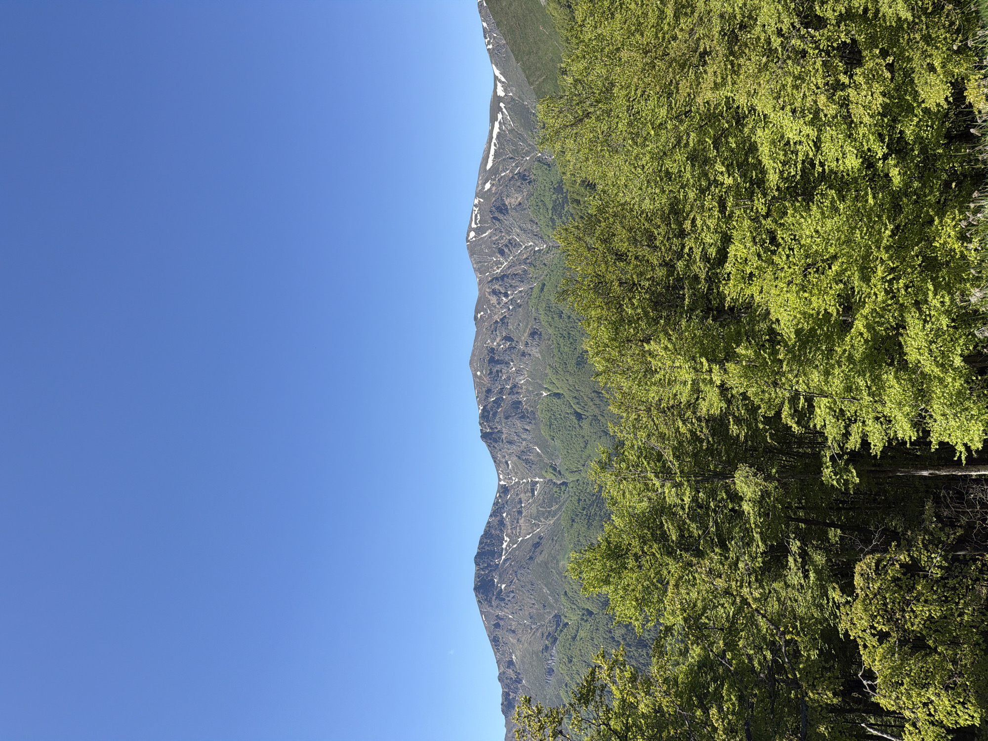 The image shows a landscape scene in Stokite, Bulgaria. On the right, green trees are visible. Adjacent to them, a mountain range with some remaining patches of snow is present. The sky is clear and blue.