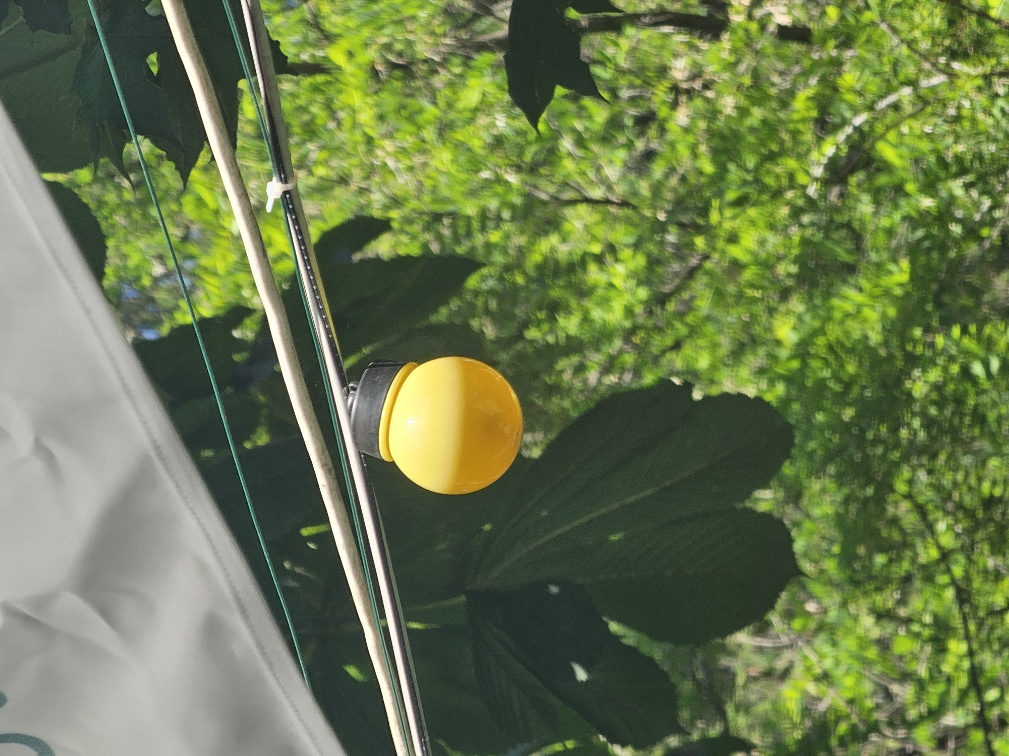 A single, bright yellow, spherical outdoor light bulb with a black cap hangs from a wire. It is suspended below a white canopy and across from large, dark green leaves. The background is a blur of bright green foliage, suggesting a natural, outdoor setting. The location is not specified.