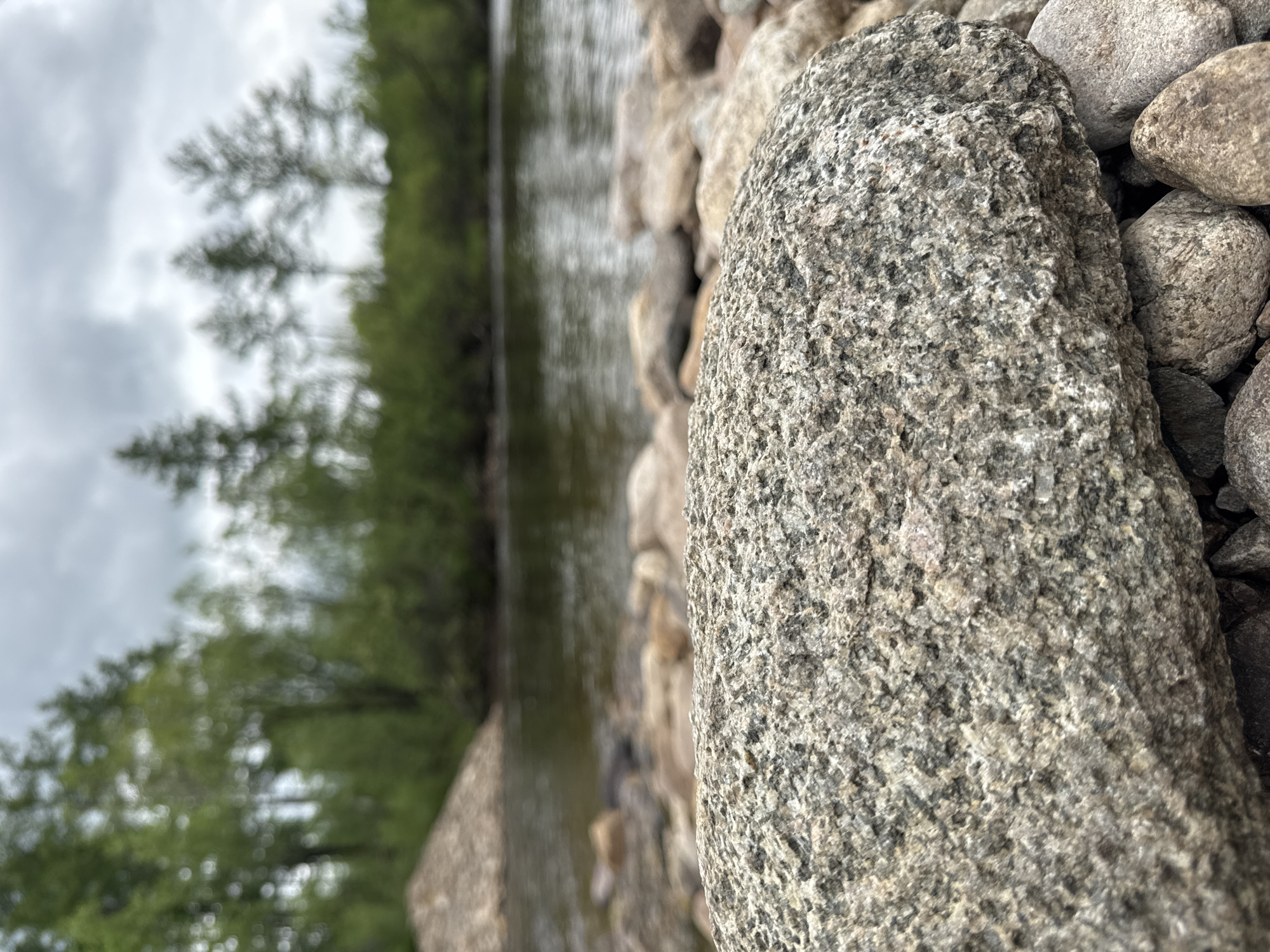 The image shows a close-up view of a large, rough, grey rock in the foreground. Behind it, a rocky shore leads to a body of dark, calm water. In the background, a line of green trees and taller, sparser trees with a somewhat blurred appearance are visible under a cloudy sky. The location is the city of Murtygit, Russia.