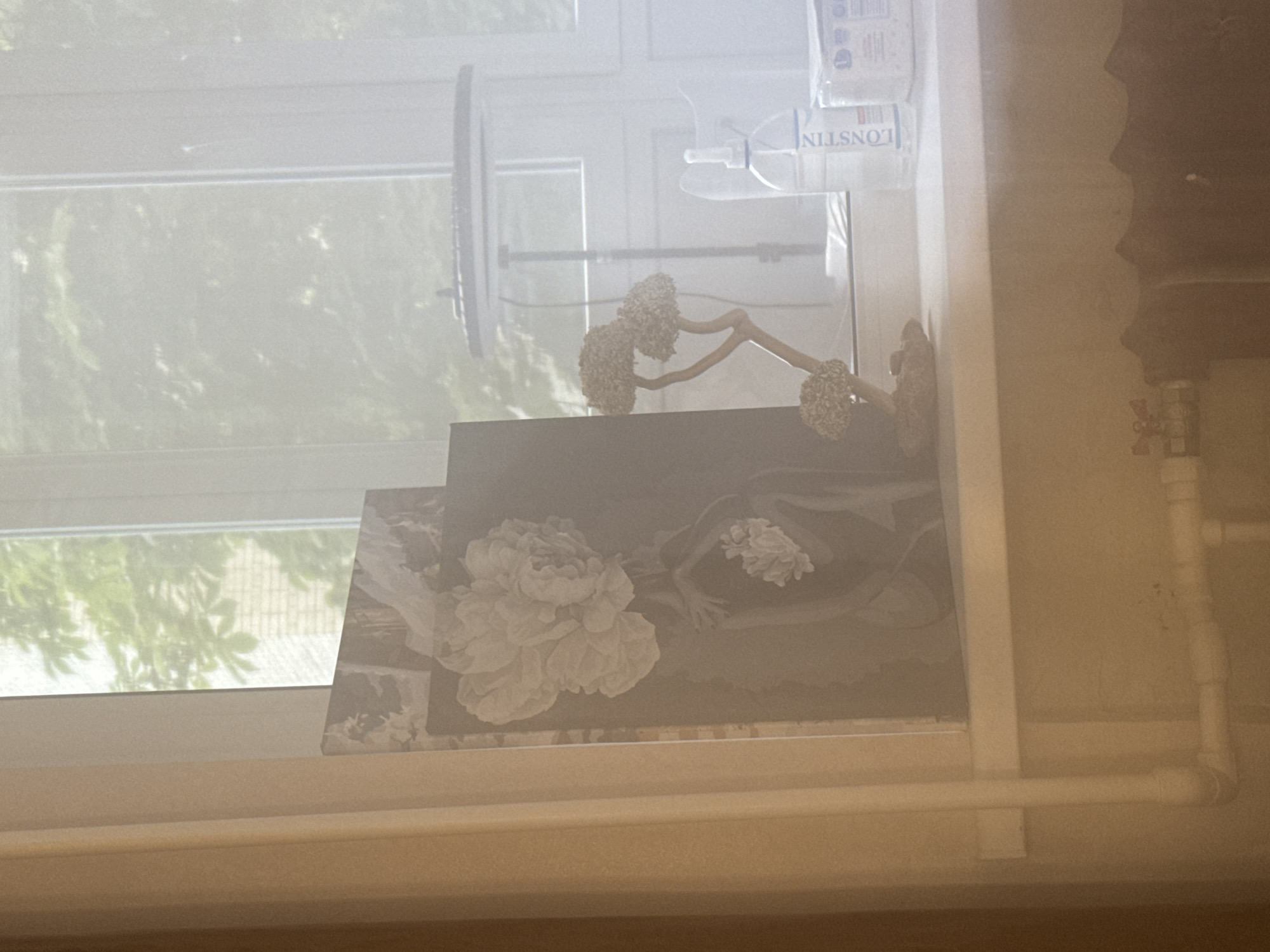 The image shows a windowsill with several objects on it. There are two framed artworks, one depicting a stylized human figure with a large flower on its head and another smaller, abstract artwork. To the right of the artworks, there is a small decorative bonsai tree. Further to the right, there is a clear plastic bottle with a white label that reads "LONSTIN" and next to it, a white package with some text and numbers. The windowsill overlooks a window with sheer curtains, through which the blurred image of trees and a building can be seen. Below the windowsill, a white pipe runs horizontally, connected to vertical pipes. The overall scene appears to be indoors, likely a domestic setting. There are no people visible in the image. The image is taken in Saratov, Russia.