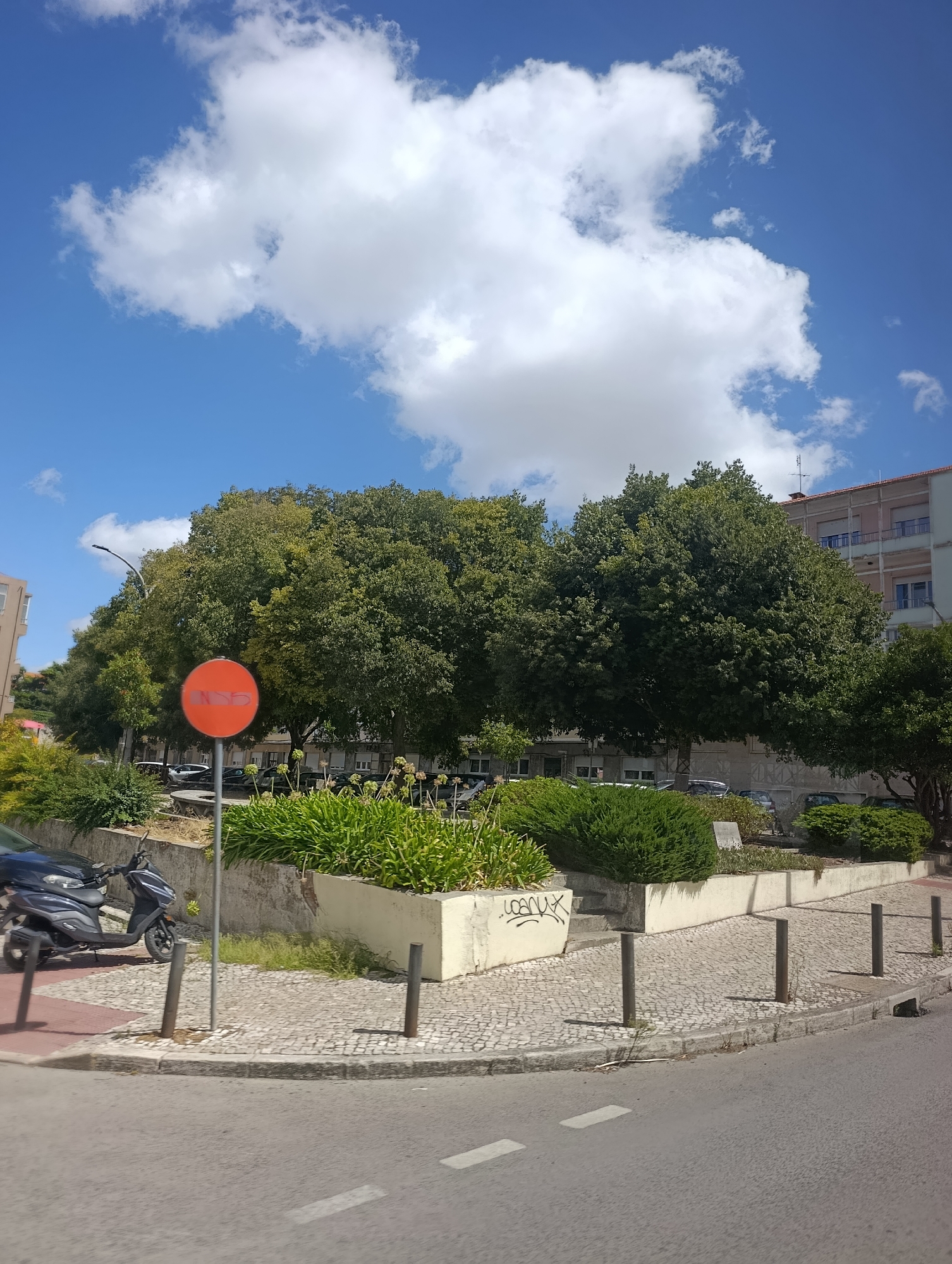 The image shows a street scene in Setúbal, Portugal. In the foreground, a street with white dashed lines runs diagonally across the bottom of the frame. To the left, a dark-colored scooter is parked on a cobblestone sidewalk next to a curb. A red circular sign with an orange "NSP" symbol is mounted on a metal pole in the middle ground. Behind the sign, a large bed of green plants is visible, bordered by a low concrete wall. Further back, a row of lush green trees with dense foliage dominates the scene, with the upper floors of a light-colored building with blue-trimmed windows visible behind them. The sky above is a bright blue, with scattered white clouds.