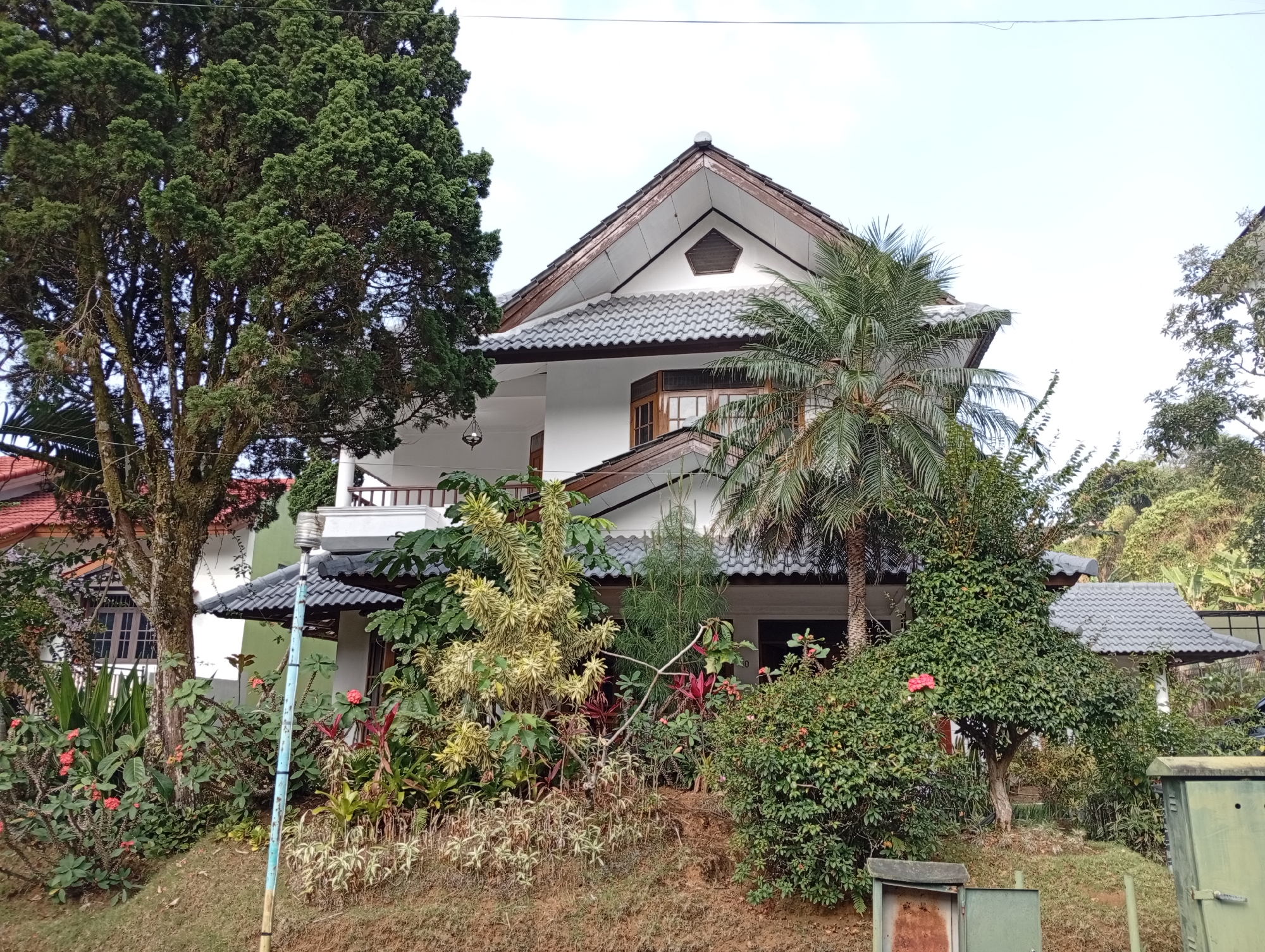 The image depicts a multi-story house situated on a sloping terrain in Cimacan, Indonesia. The house features a white facade with dark gray tiled roofs, several windows with wooden frames, and balconies. Surrounding the house is lush vegetation, including mature trees, palm trees, flowering plants, and various shrubs. A light pole with blue and white markings stands in the foreground. The terrain is covered with grass and brown soil. The sky is overcast. The scene suggests a residential setting in a tropical or subtropical climate, consistent with the location of Cimacan. No people are visible in the image.