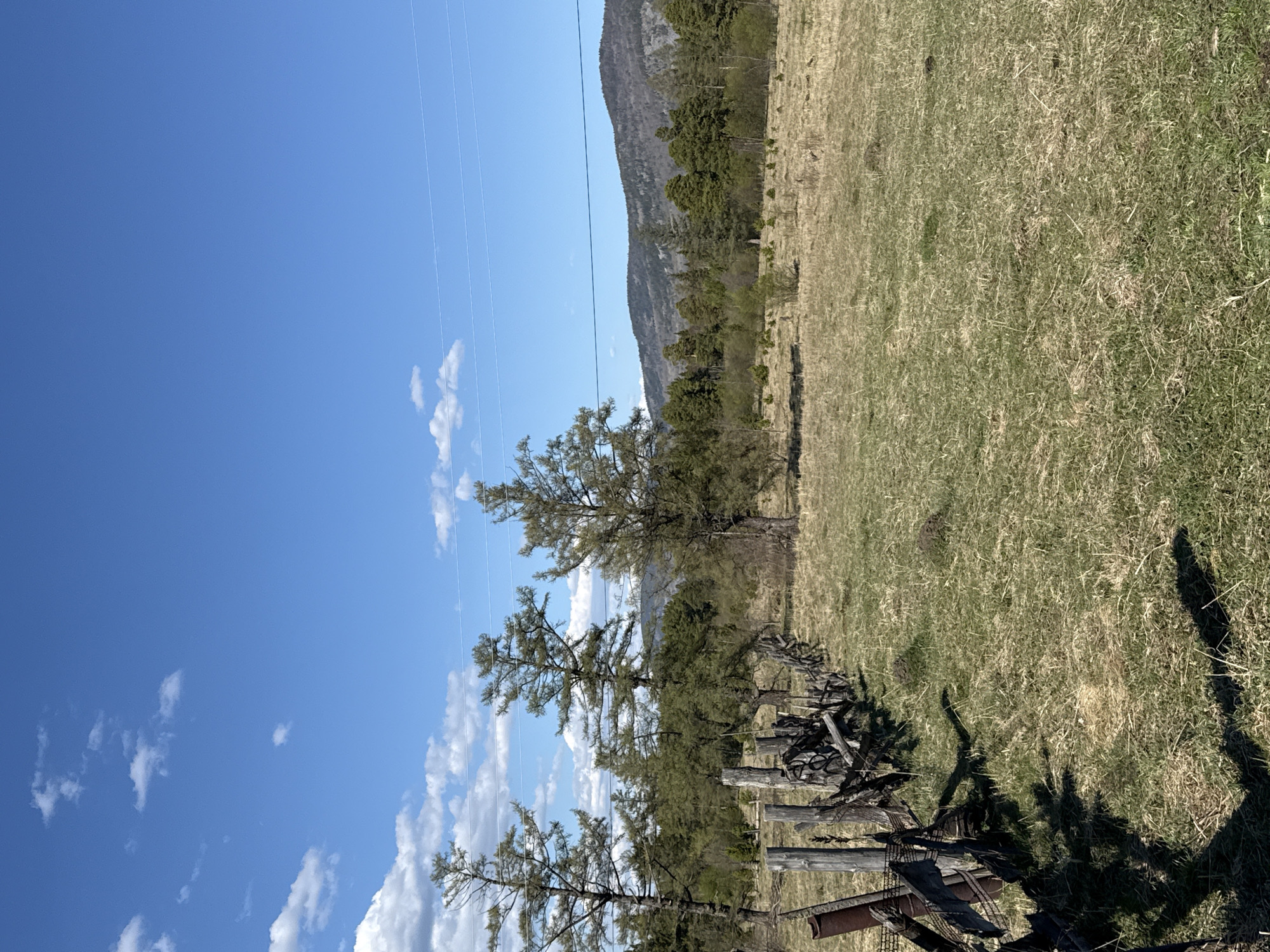 The image depicts a rural scene near Tyulyuk, Russia. The foreground features a dilapidated wooden fence running along a grassy field. Several pine trees are interspersed along the fence line. In the distance, a mountain range is visible, and the sky is bright blue with scattered cumulus clouds. Overhead power lines stretch across the sky.