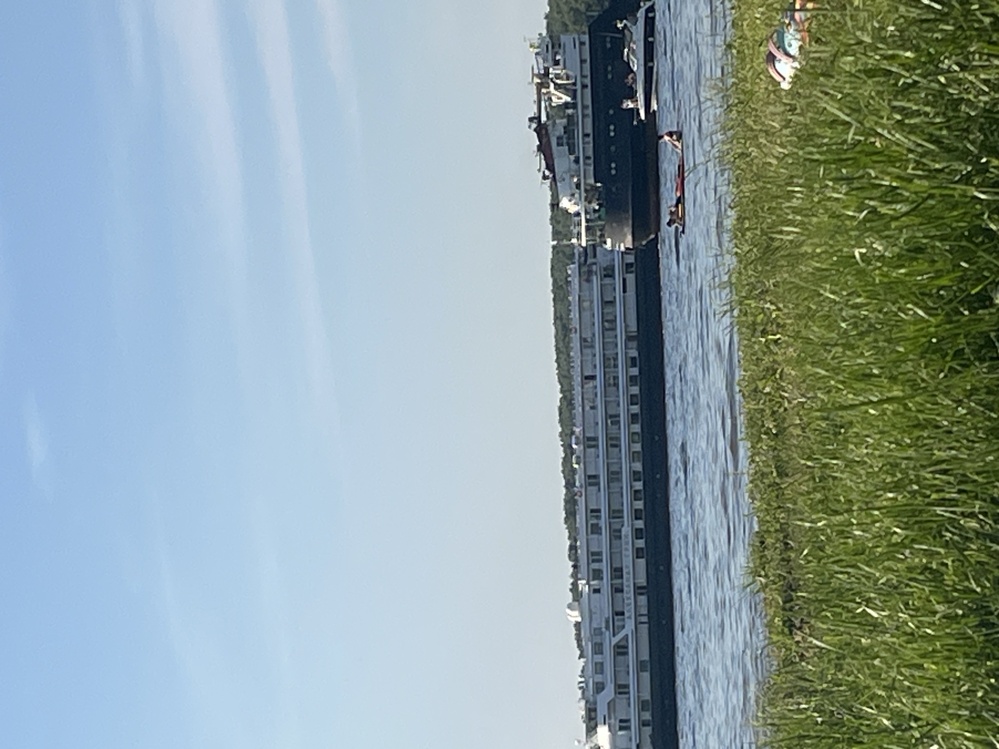 The image depicts a daytime scene on a body of water in Kapustino, Russia, viewed from a grassy bank. The sky is clear and light blue, with a few faint, wispy cloud formations.
On the water, three distinct vessels and two individuals on floats are present. A large white multi-deck passenger ship, bearing the name "АЛЕКСАНДР ГРИН" (ALEKSANDR GRIN) in Cyrillic along its hull, occupies the left side of the frame, moving horizontally. Behind and slightly to the right of this ship, a darker, more utilitarian-looking vessel with a substantial, multi-level superstructure at its stern is partially visible. Further to the right, a smaller white motorboat is positioned, with at least two individuals discernible onboard. In the mid-ground, two people are situated on inflatable floats in the water; one individual is lying prone on a red float, while another is seated adjacent to them.
The distant background features a dark green treeline marking the opposite bank of the waterway. The foreground is dominated by dense, tall green grass. On the far right of this grassy bank, partially obscured by the vegetation, an individual is lying down on what appears to be a blanket or towel. A light-colored bag or backpack is situated near this person. The water exhibits ripples across its surface.