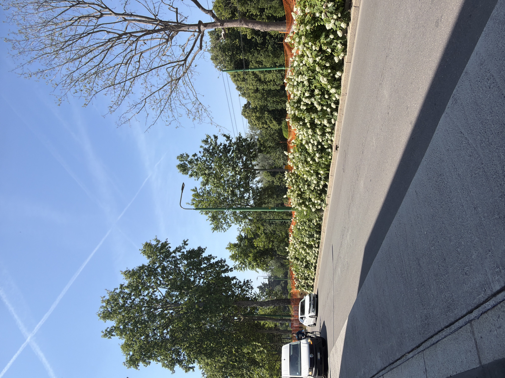 The image depicts a street scene, likely in Milan, Italy. The sky is bright blue with contrails forming an "X." A row of trees and flowering shrubs, partially bordered by orange netting, runs along the edge of a road. Street lamps are visible among the trees. Two white vans are parked on the road. A large shadow is cast on the right side of the image, indicating a structure or building. The overall environment suggests an urban park or residential area within the city.
