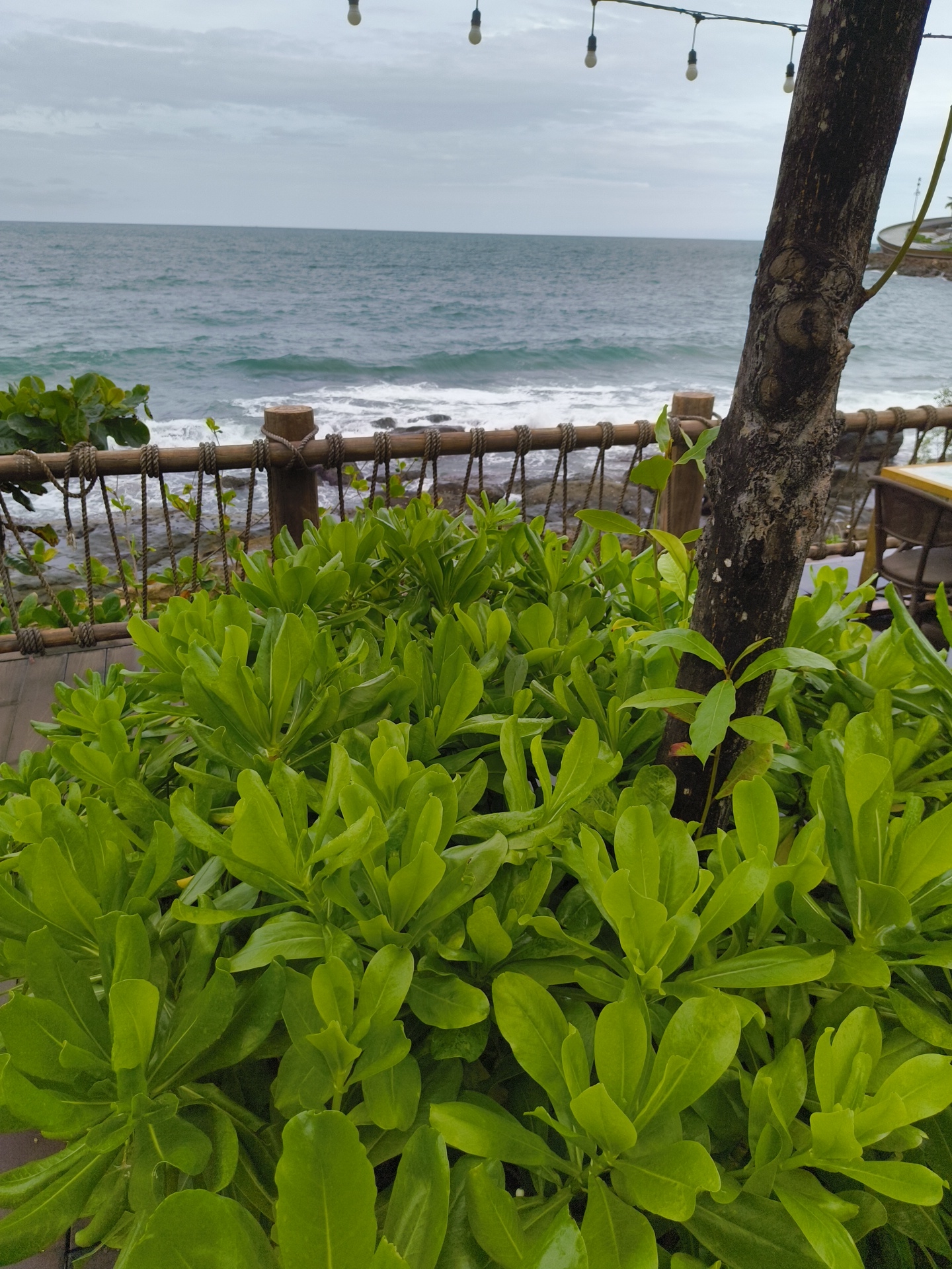The image captures a serene view of the ocean from a location in Phú Quốc, Vietnam. In the foreground, lush green foliage dominates the scene, with a weathered tree trunk on the right side. A wooden railing with rope accents separates the foreground from the beach area. Beyond the railing, the turquoise ocean stretches towards the horizon under a cloudy sky. Small waves gently lap against the rocky shoreline. In the background, a few outdoor lights are visible, suggesting a restaurant or cafe setting. The overall atmosphere is tranquil and natural, typical of a coastal landscape in Phú Quốc.