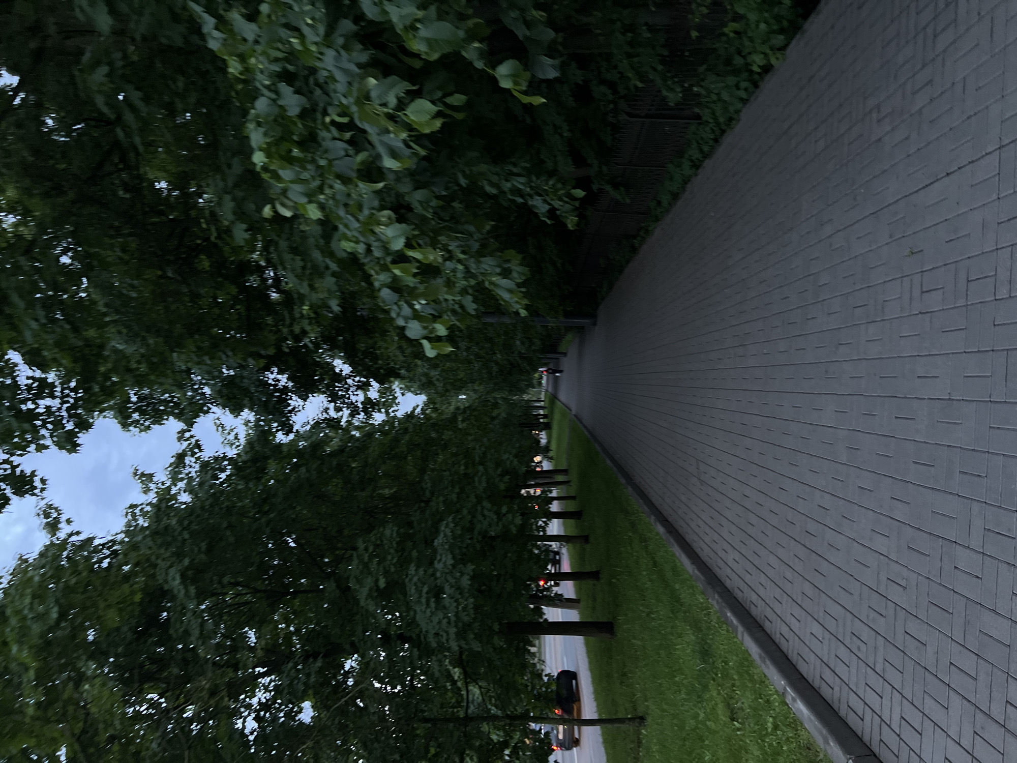 The image shows a paved sidewalk running alongside a road lined with trees. The sidewalk is made of grey rectangular pavers laid in a basketweave pattern. To the left of the sidewalk is a strip of green grass, and beyond that, the road with a few cars visible. To the right of the sidewalk, more trees and dense foliage are present, with a dark metal fence running behind them. The sky is overcast and appears to be twilight. There is no specific indication that this location is in Saint Petersburg, Russia.