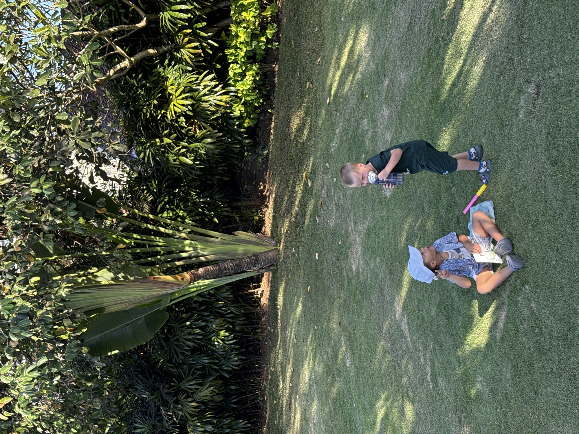 This media file depicts two young boys enjoying an outdoor setting on a sunny day, likely in a garden or yard in Kuta Selatan, Indonesia. The scene is dominated by a vibrant green lawn and dense tropical foliage, including a prominent traveler's palm (Ravenala madagascariensis) with its distinctive fan-shaped leaves on the left. Bright sunlight creates dappled shadows across the grass, suggesting it's mid-morning or afternoon.
One boy, dressed in a dark green t-shirt and shorts, stands on the grass. He wears dark Crocs with patterned socks and holds a toy water gun, appearing engaged in active play. The second boy is lying on his back on the grass, wearing a light-colored, possibly blue and white patterned, shirt and shorts, along with grey sneakers. A white cap is pulled over his face, and a book or small tablet rests on his chest, indicating he is relaxing or reading. A pink and yellow plastic toy lies nearby. The overall activity portrays a casual and peaceful moment of leisure and play for the children in a lush, natural environment. No legible text is visible in the image.